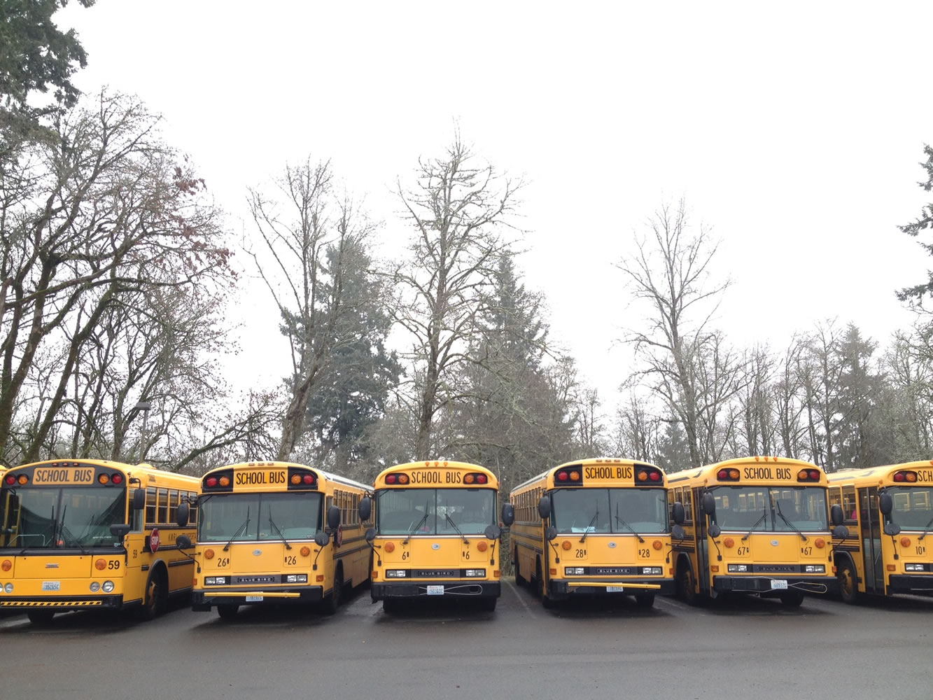 Buses sit unoccupied in La Center on Wednesday after freezing fog closed and delayed several Clark County schools.