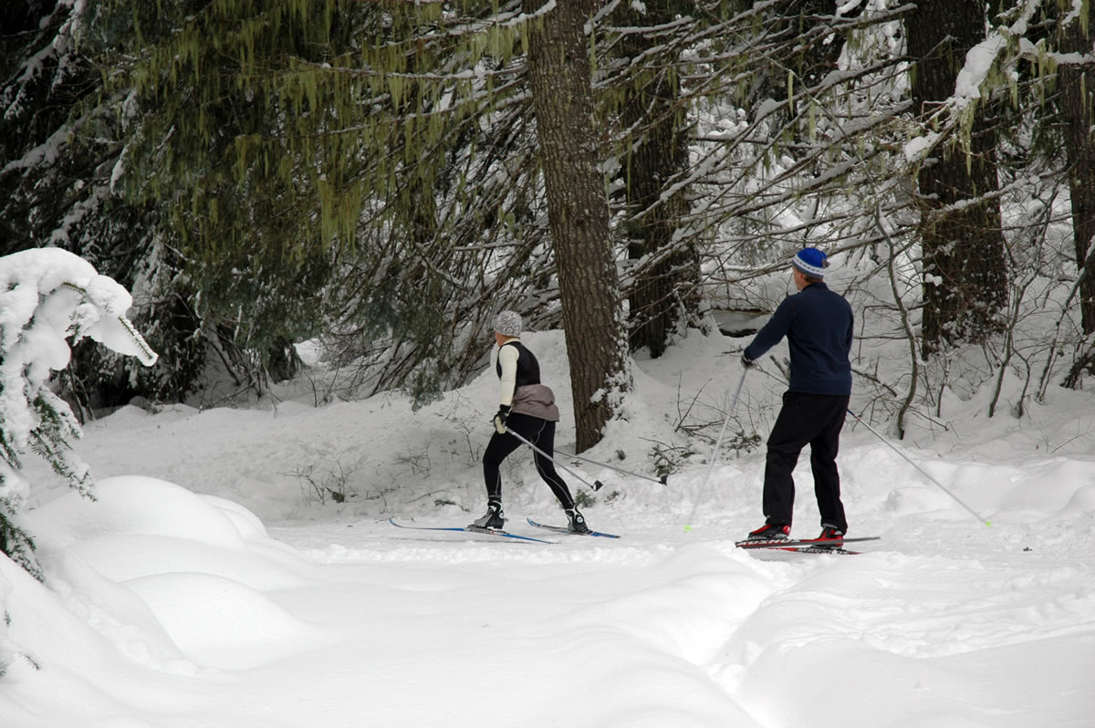A pair of cross-country skiers on New Year's Day morning on the Big Tree Loop in the Mount Adams District of the Gifford Pinchot National Forest.
