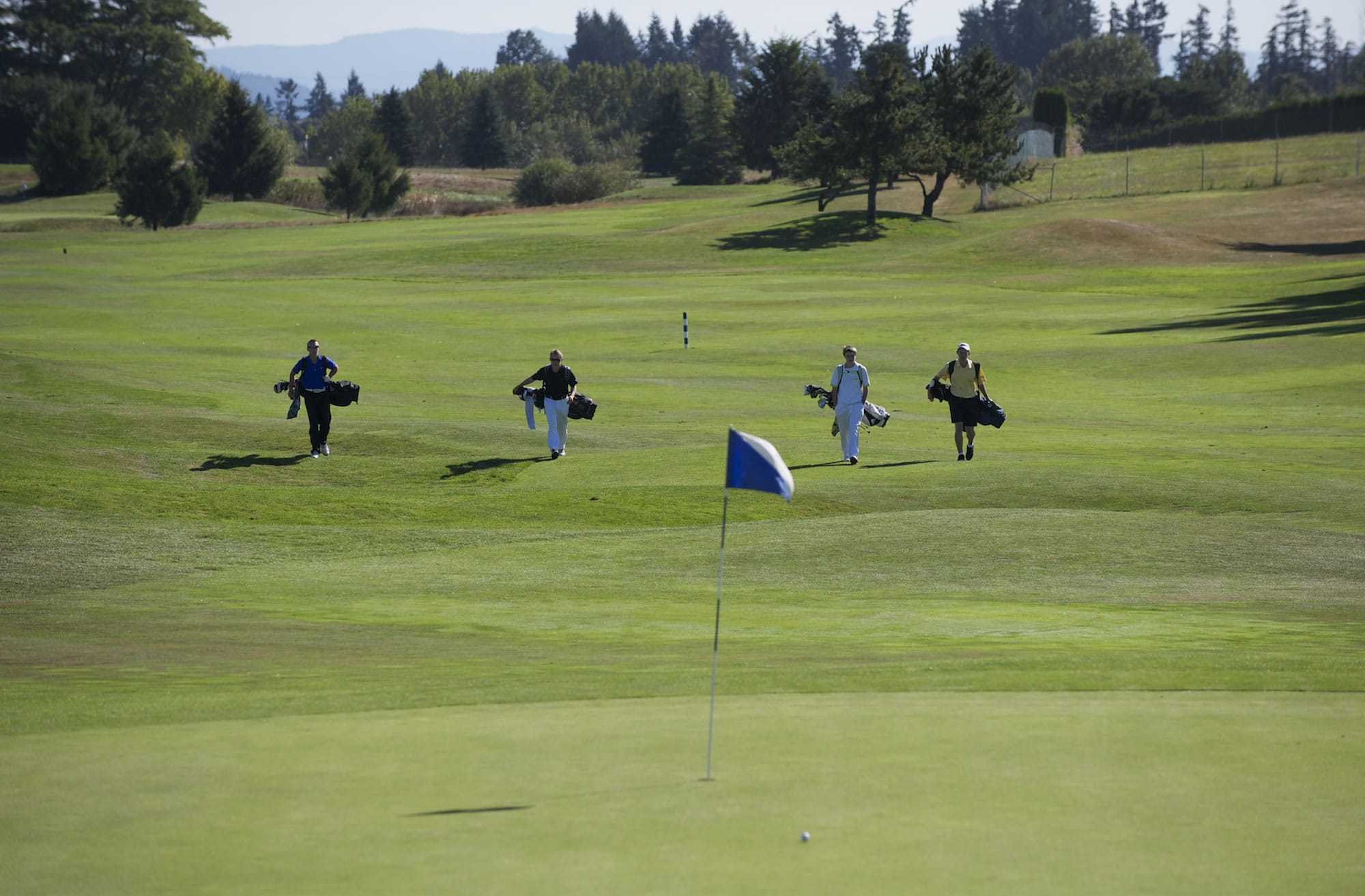 High School golfers play in the Jeff Hudson Invitational at Tri-Mountain Golf Course, Tuesday, September 11, 2012.