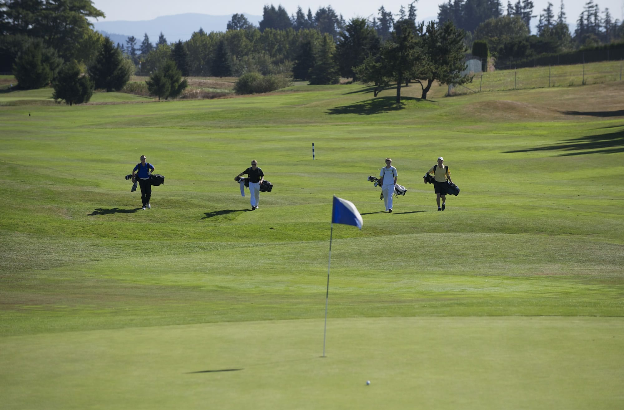 High school golfers play in last week's Jeff Hudson Invitational at Tri-Mountain Golf Course.