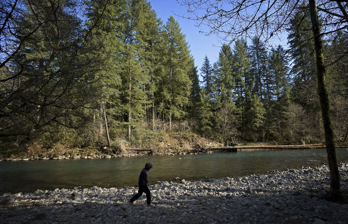 Felicia Beaston of Scappoose, Ore., walks along the East Fork of the Lewis River in Lewisville Park north of Battle Ground.