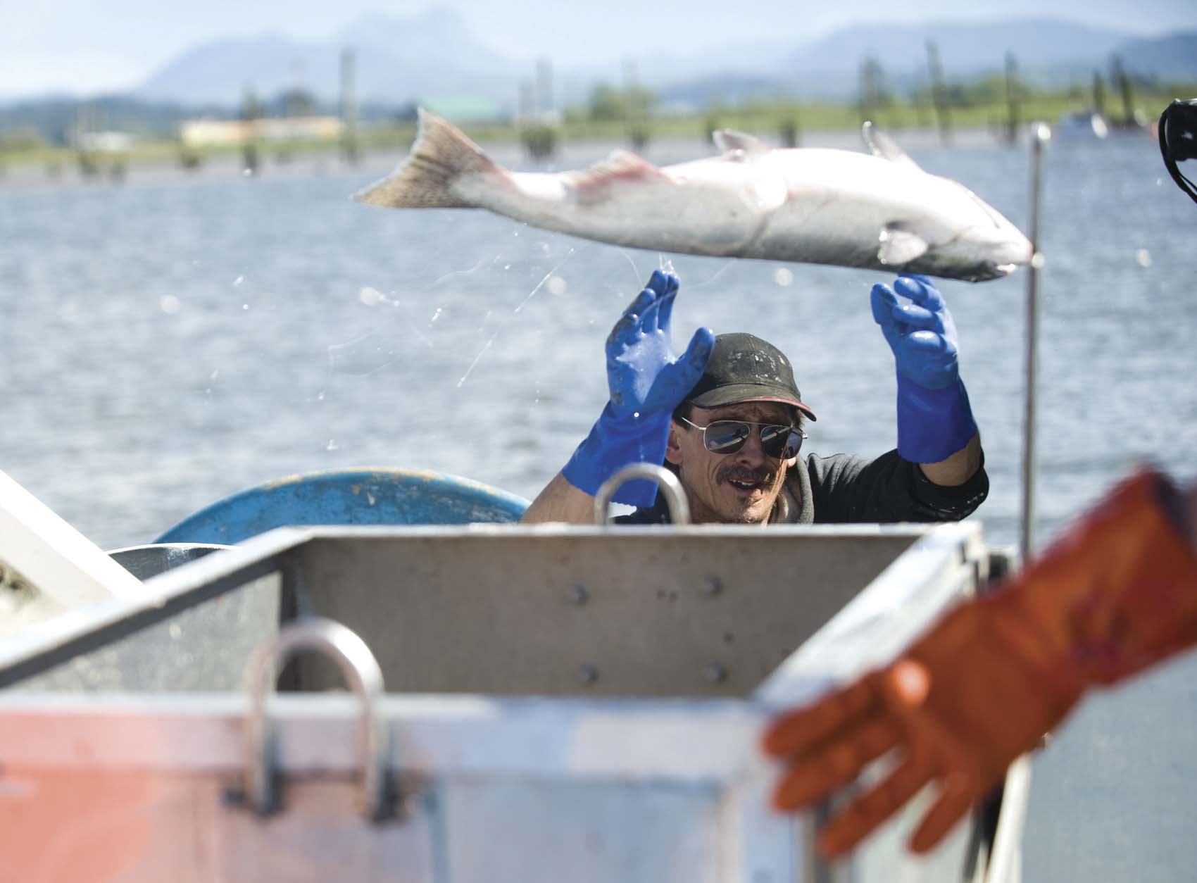 Gillnetters in the lower Columbia River say their fisheries fill niches in the market when high-quality salmon are not available from other waters.