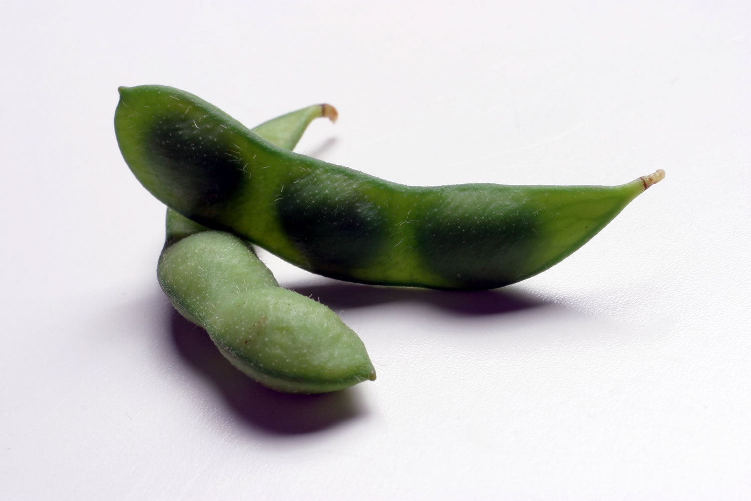 Edamame are easy to find, easier to cook - The Columbian