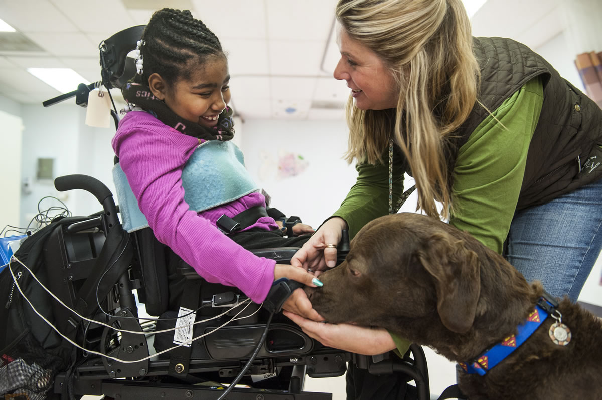 Asheauna Pryor, 8, gives a treat to Lewis, the Chesapeake Bay retriever who is helping her recover from surgery at the Kennedy Kreiger Institute in Baltimore.
