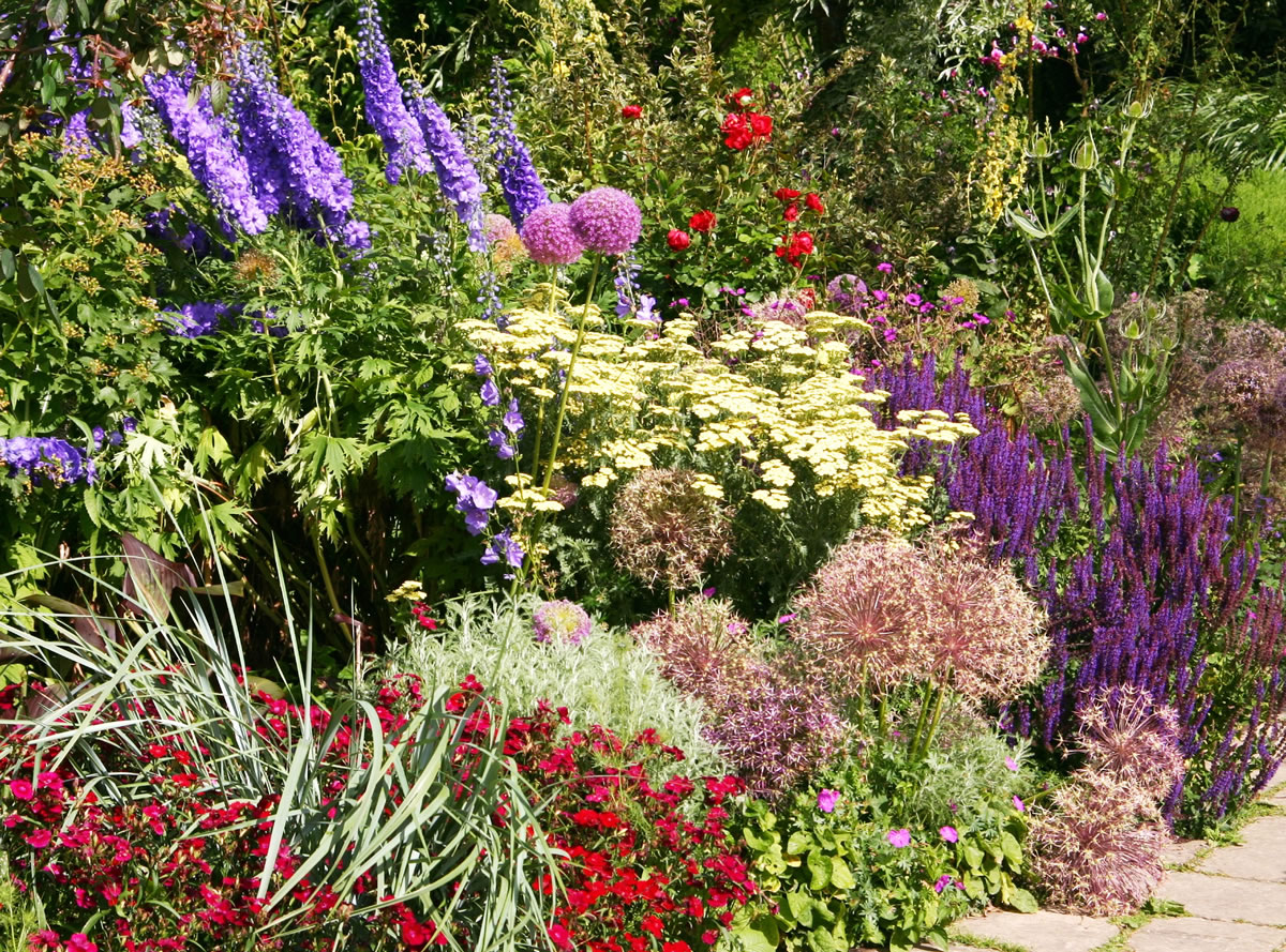 Robb Rosser
It's the peak of the garden year, when collectable perennial plants are in their glory.