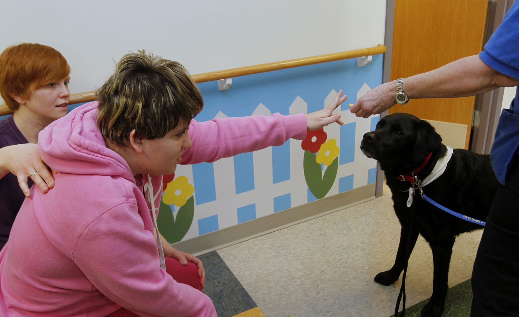 Therapy dog Tank gets a treat from patient Allison Hill, who has cerebral palsy, who is working with physical therapist Kate Patton at the Akron Children's Hospital in Akron, Ohio.
