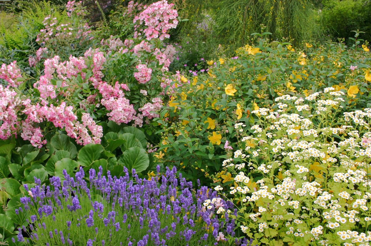 A cottage-style flower border exemplifies the cheerful, vibrant colors of summer.