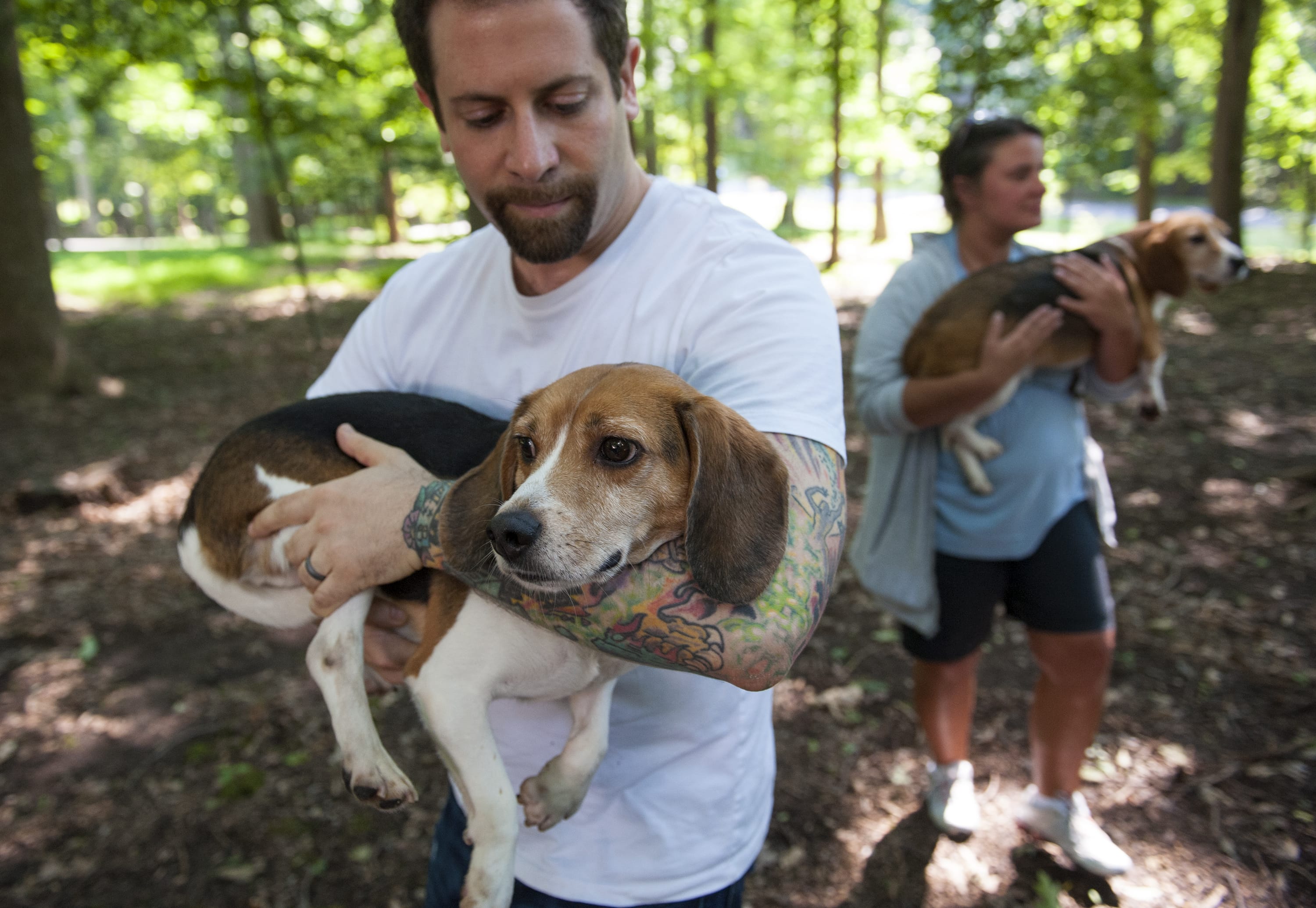 Ryan Shapiro carries one of the seven beagles rescued from a Virginia-based research laboratory on Monday in Potomac, Md., where the dogs were released to foster families.