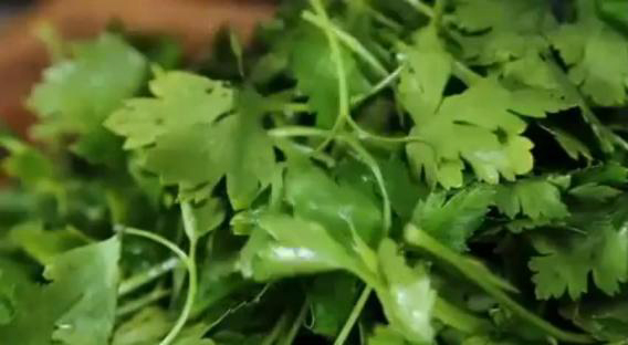 A screen grab from Slate's video on chopping parsley, one of the stars of a good tabbouleh salad.