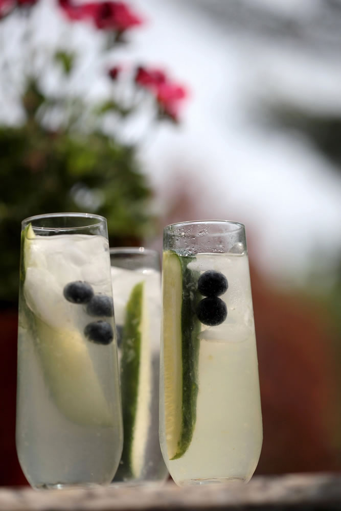 A good summer sip can make or break a party, say several Detroit Free Press readers who shared their favorite drink recipes like this Cucumber Collins with Blueberries.