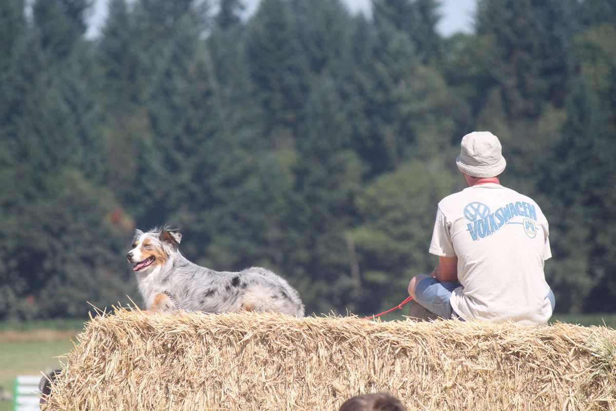 Post-Record file photo
Dogs of all kinds are popular companions for spectators at the Lacamas Valley Sheep Dog Trial. The event starts Thursday, and culminates with the championship round Sunday.