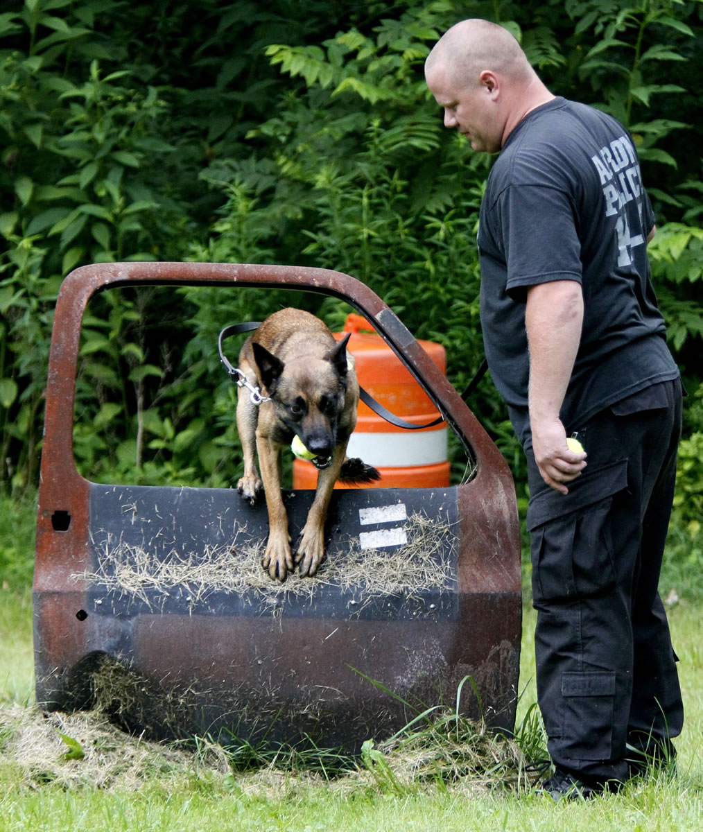 &quot;Recon,&quot; an Akron, Ohio, Police K-9 dog, leaps through a car door under the supervision of Akron Police Officer Darren McConnell at the old Akron Police shooting range last month.