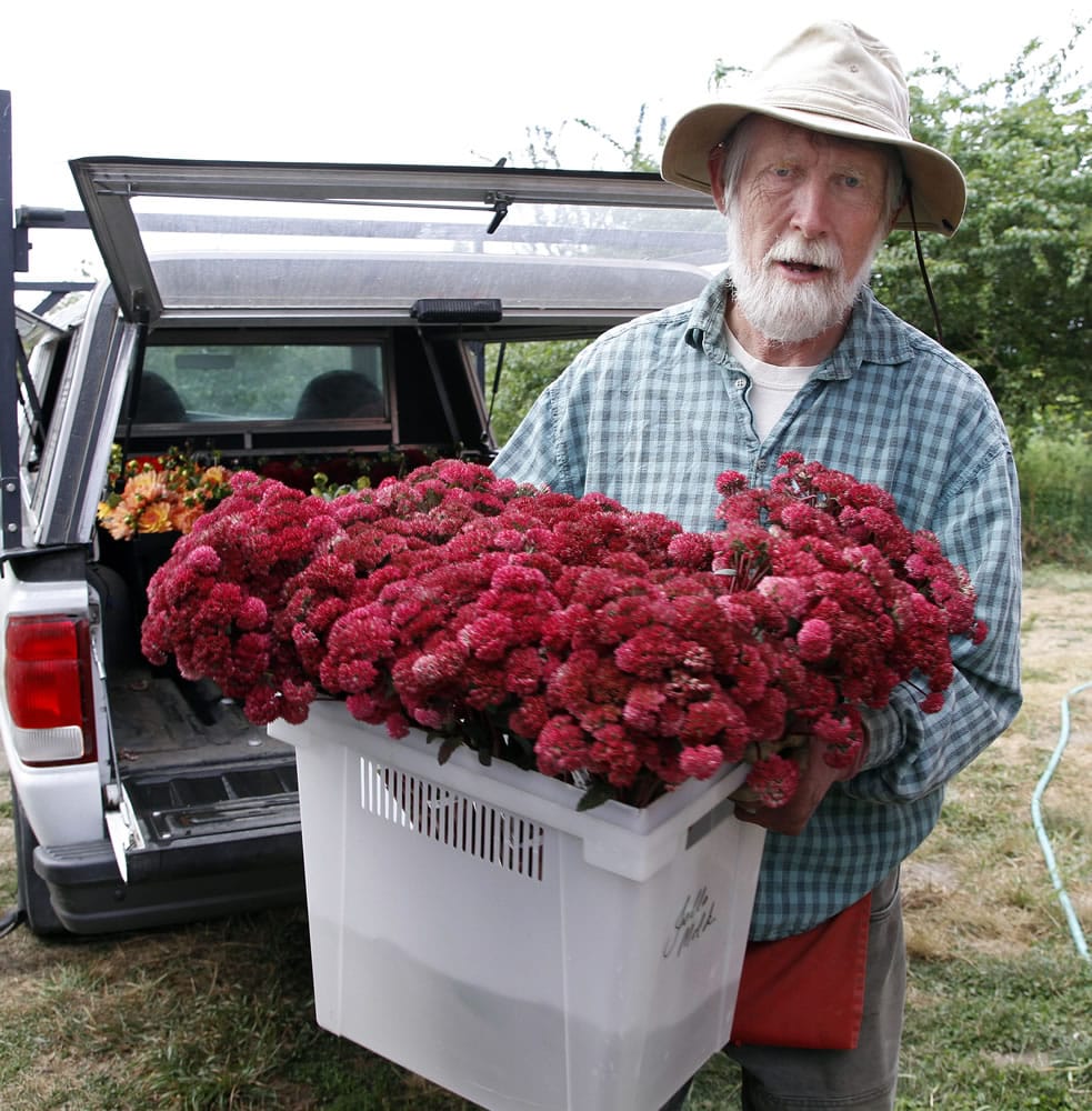 Working since 5:30 a.m., Dennis Westphall, co-owner of Jello Mold Farm, unloads a crate of freshly picked sedum flowers Aug. 30 at his farm in Mount Vernon.