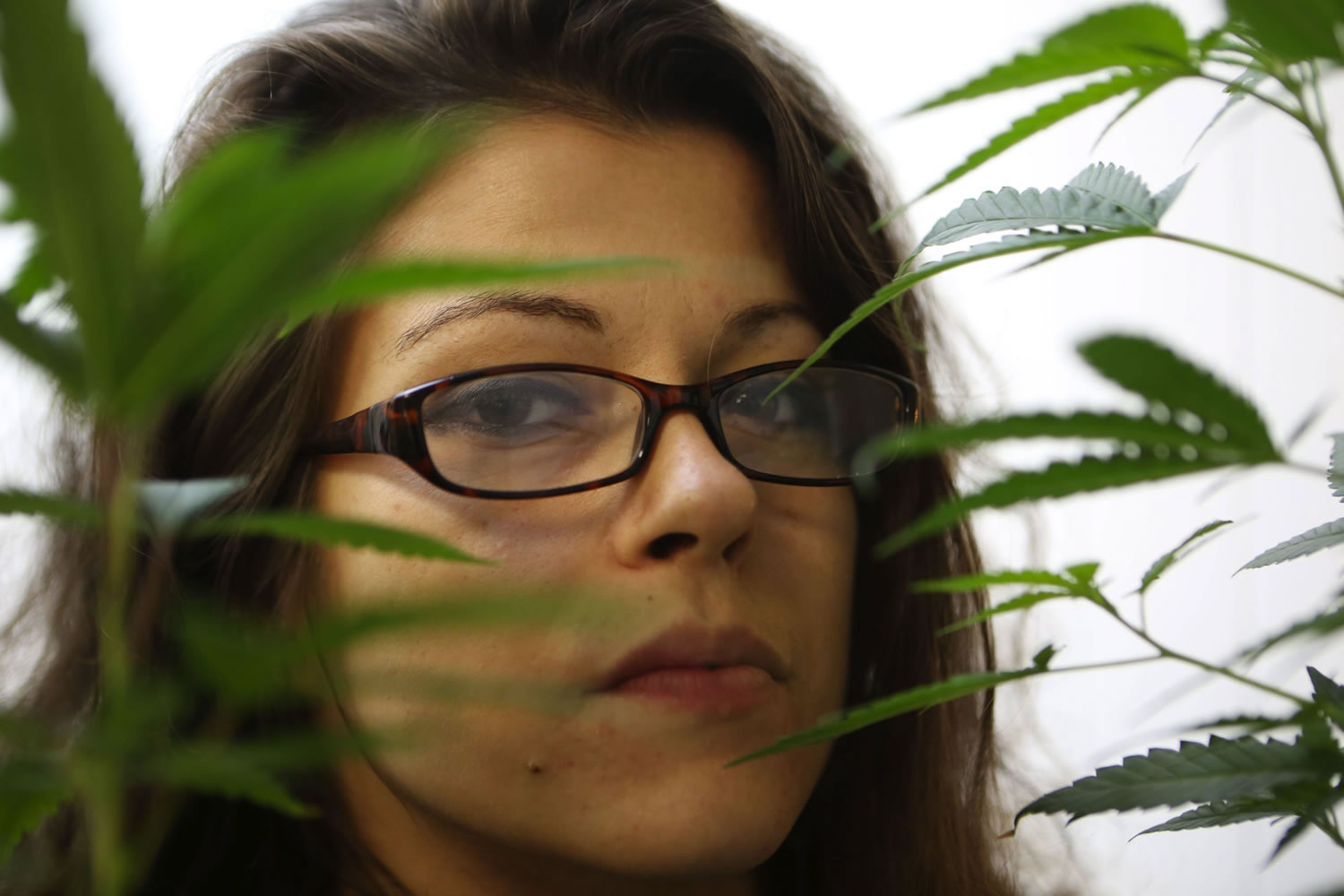 Lydia Ensley, operations manager for a Seattle medical marijuana dispensary, the Center for Palliative Care, is a woman working in the male-dominated and sometimes sexist pot industry.