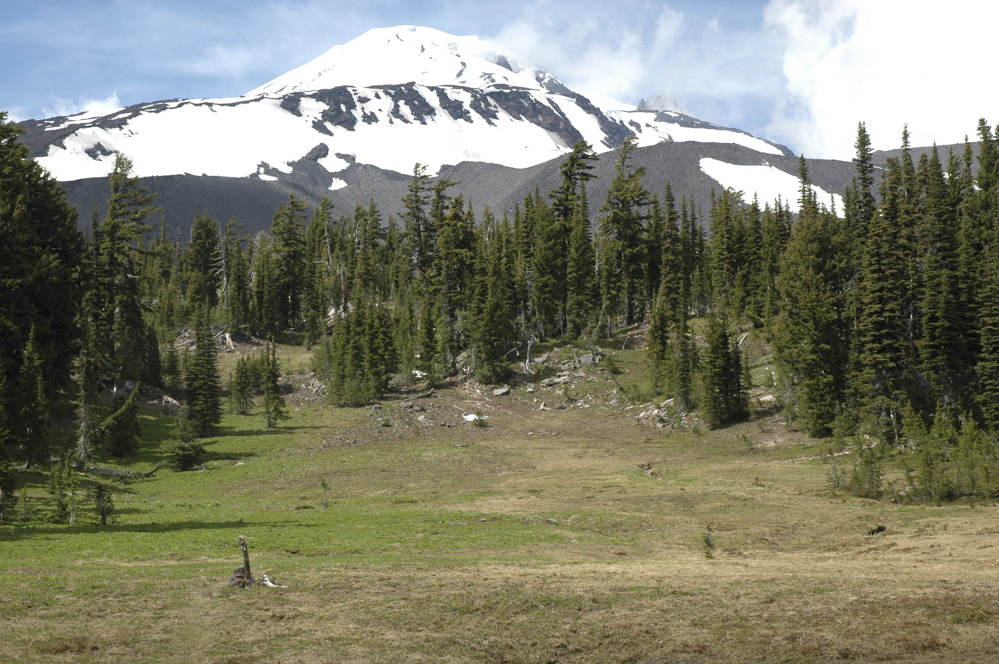 The Gifford Pinchot National Forest has reauthorized a grazing permit for 33,000 acres on the south side of Mount Adams.