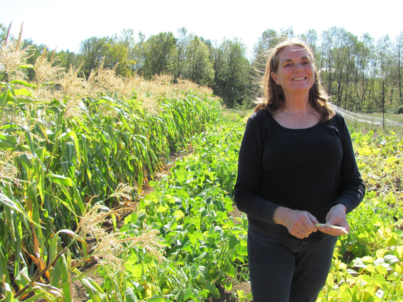 Jo Grace Buck enjoys growing vegetables such as corn, tomatoes, peas, carrots and beets, with her husband Roy (not pictured). In all, there are more than 50 varieties of produce grown at their Ever Green Farm, in Washougal. &quot;We want to learn and give options to people,&quot; Jo Grace said.