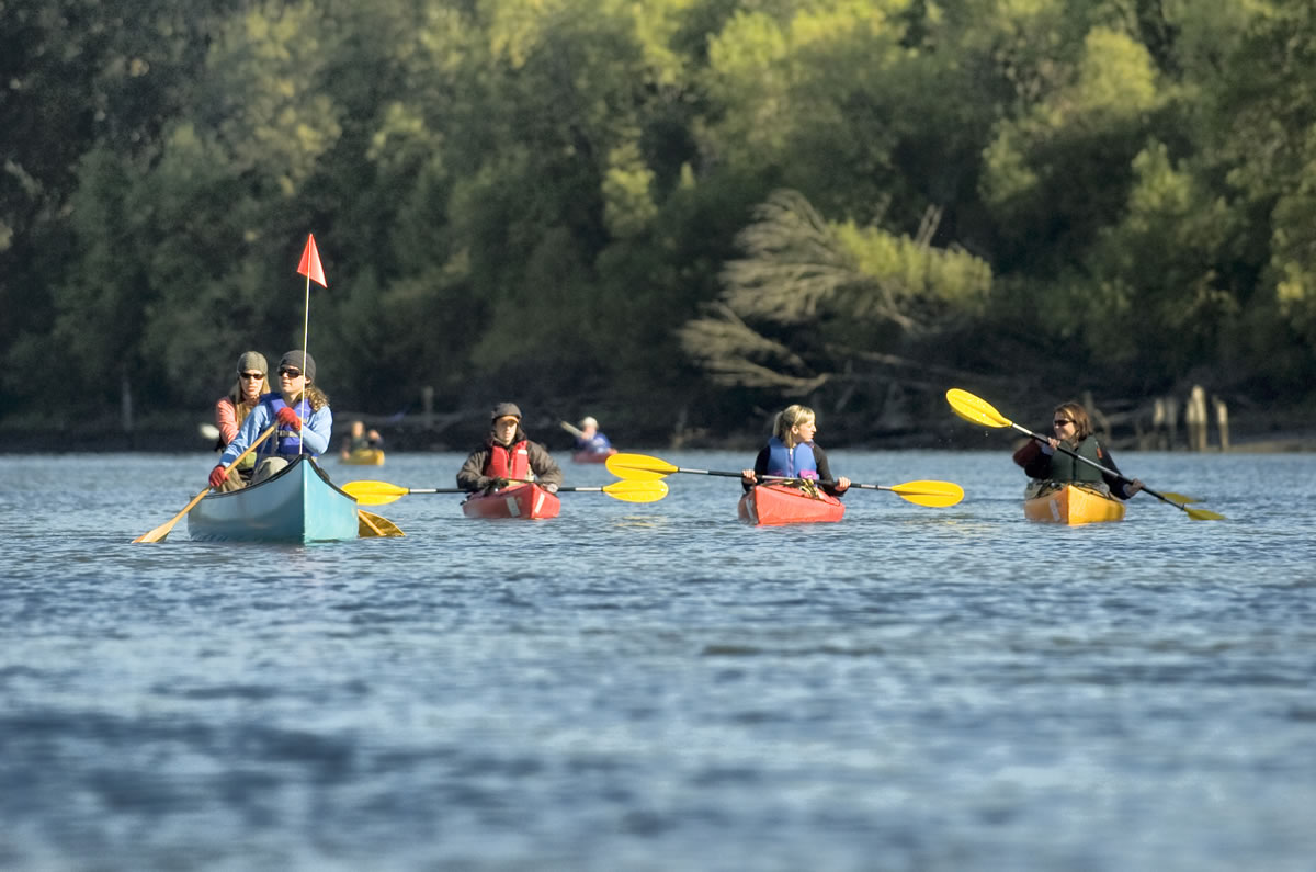 Nearly 40 people took part in a guided kayak tour of the Ridgefield National Wildlife Refuge as part of Birdfest in October of 2008.