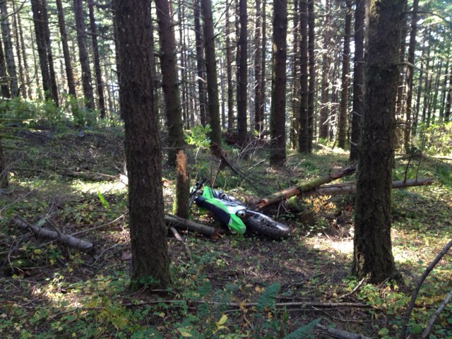 A Kalama man died in a dirt bike crash on Larch Mountain Friday afternoon.