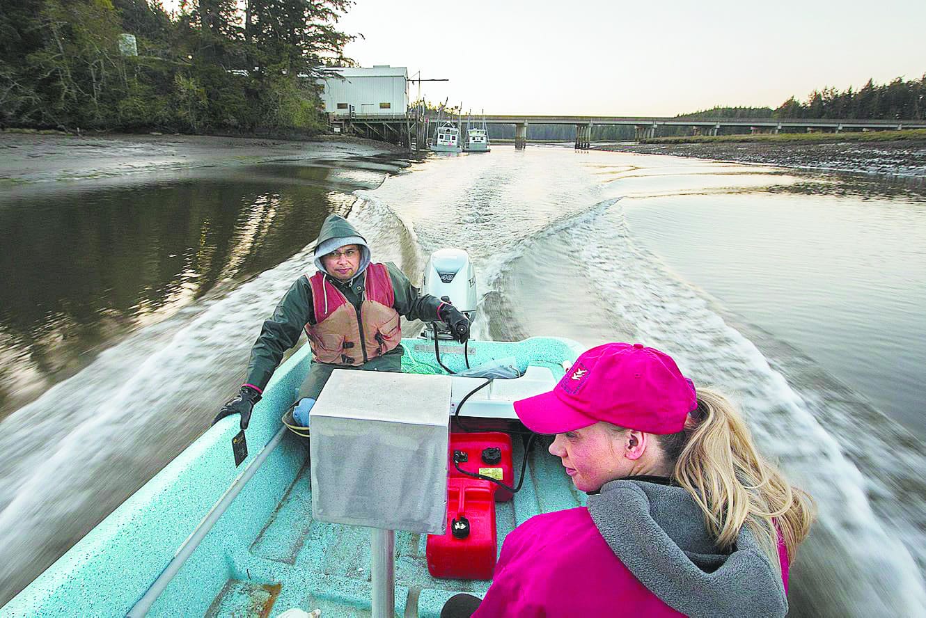 Second-generation oyster farmer Kathleen Nisbet gets shuttled at sunrise from the Goose Point Oyster Co.