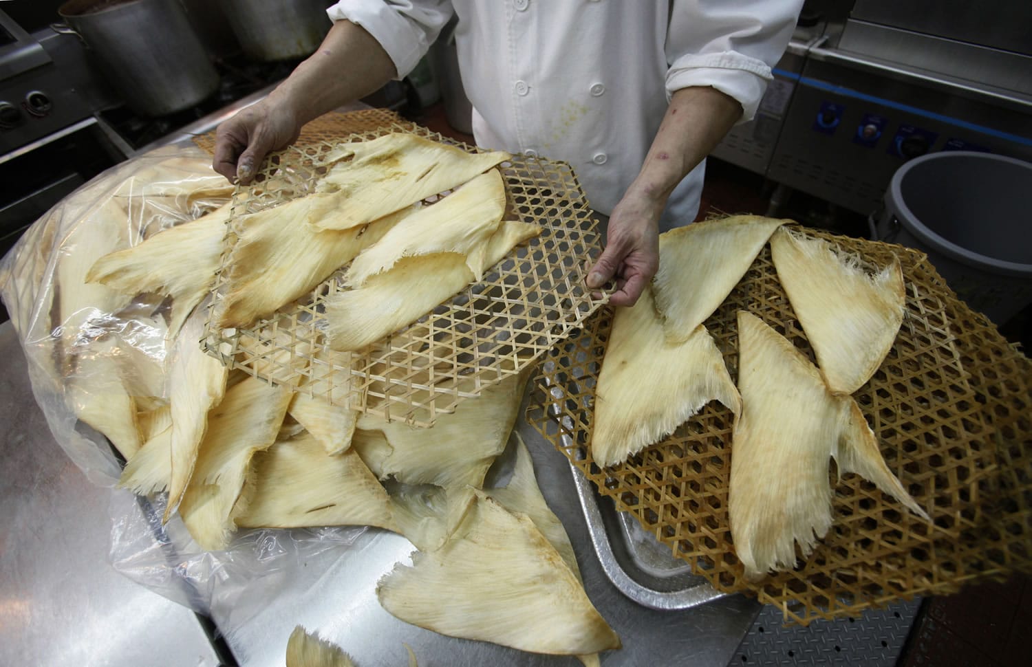 A chef in Hong Kong prepares shark fins for cooking.