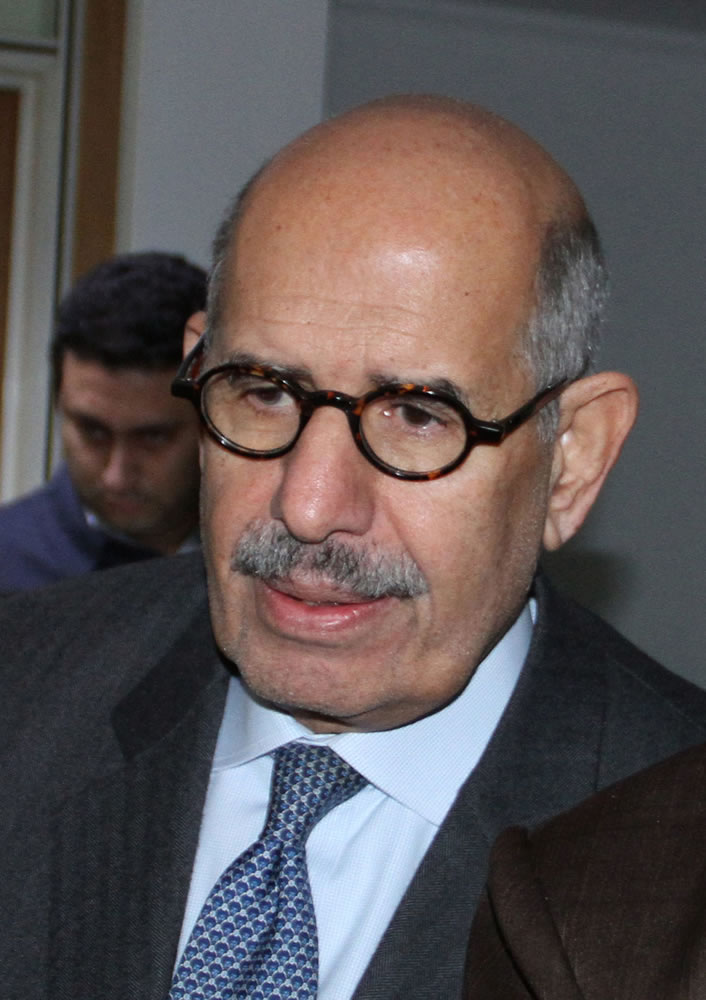 Mohamed ElBaradei
Former Egyptian vice president