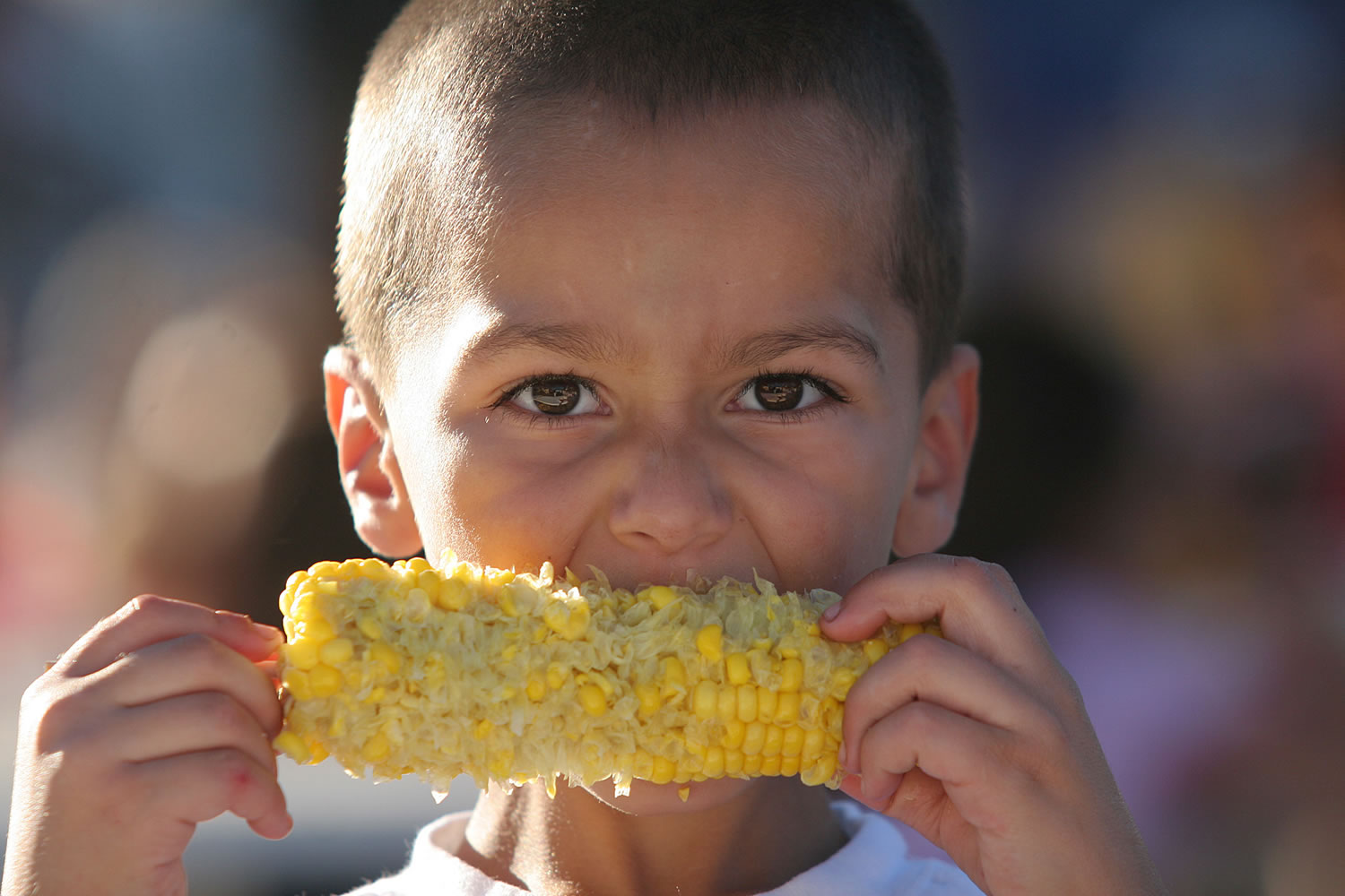 The Vancouver Sausage Festival plans to go through 7,000 ears of corn this year.