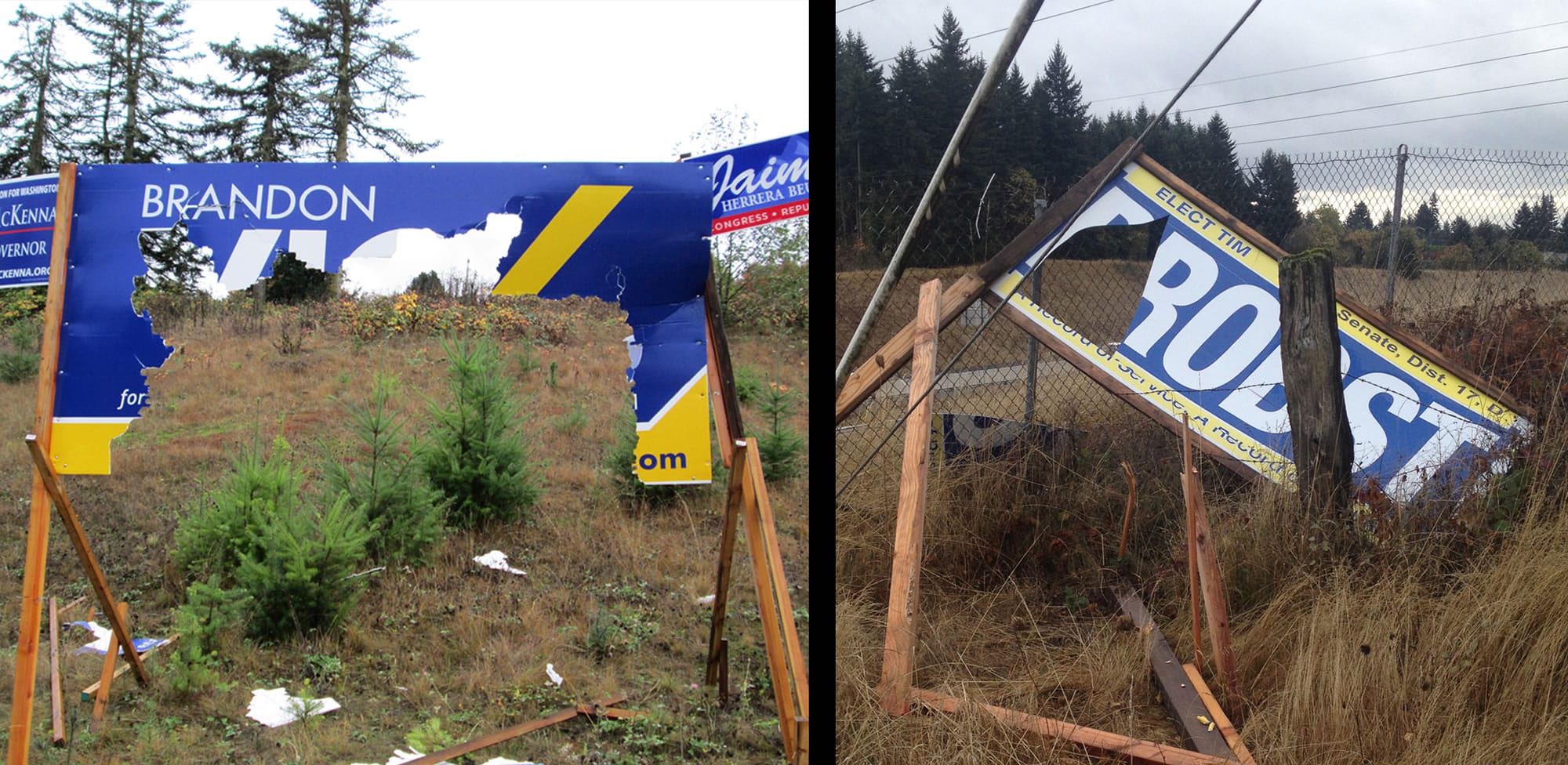 Campaign signs for Republican candidate Brandon Vick were cut and torn down along Interstate 5 in the Salmon Creek area.