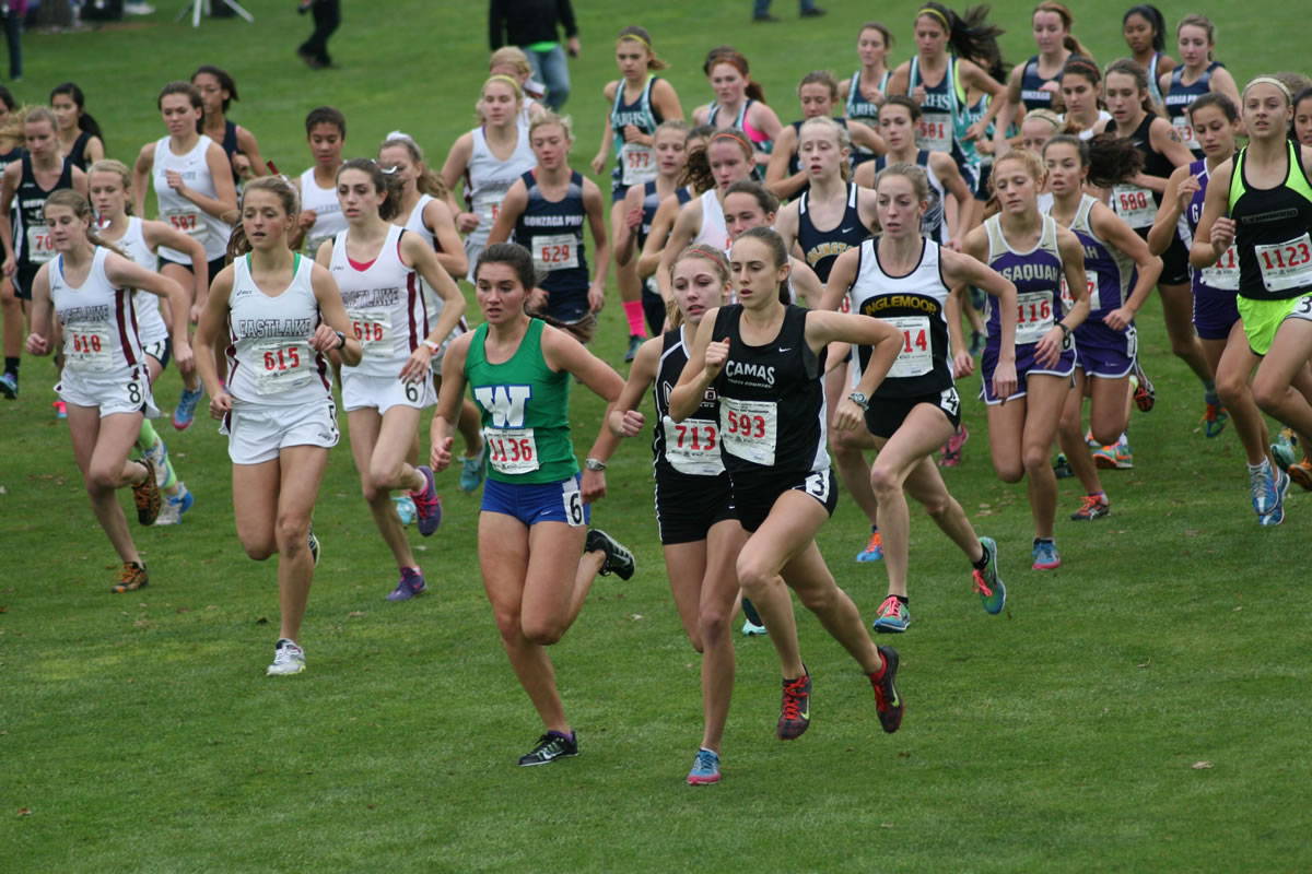 Alexa Efraimson (593) beat the other 4A state championship competitors up the hill at the Sun Willows golf course Saturday, and never looked back. She clinched first place with a time of 17:34.2.