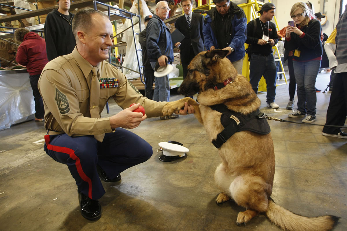 U.S. Marine Gunnery Sgt. Christopher Willingham shakes hands Thursday with Lucca, 8, a German Shepherd/Malinois mix, in Irwindale, Calif.