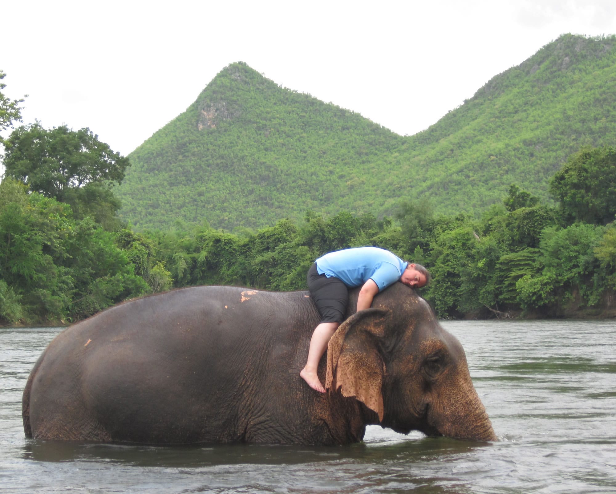 Crystal Steinmueller rests atop an elephant as it bathes.