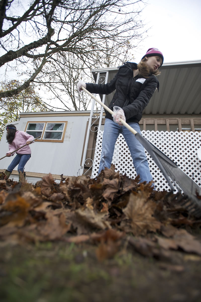Cornerstone Christian School sixth grader Marry Williams, 12, rakes leaves as part of her community service hours required by her school.