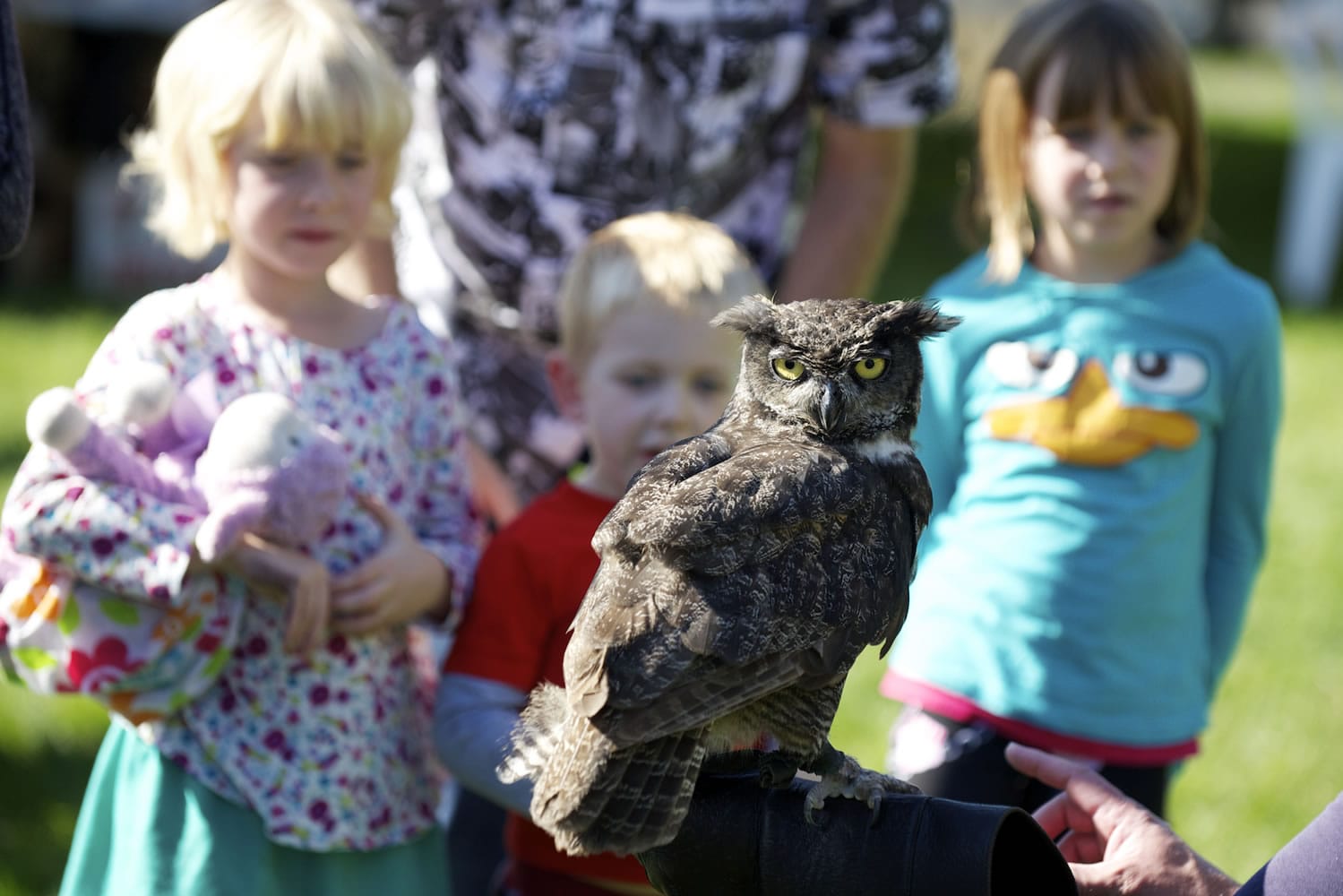 Photos by STEVEN LANE/The Columbian
The Musser kids, from left, Mercedes, 6, Lincoln, 3, and Alexis, 7, from Kelso stop to see Julio, a great horned owl visiting from the Portland Audubon Society during the Birdfest celebration in Ridgefield on Sunday. About 3,000 people visited the weekend festival.