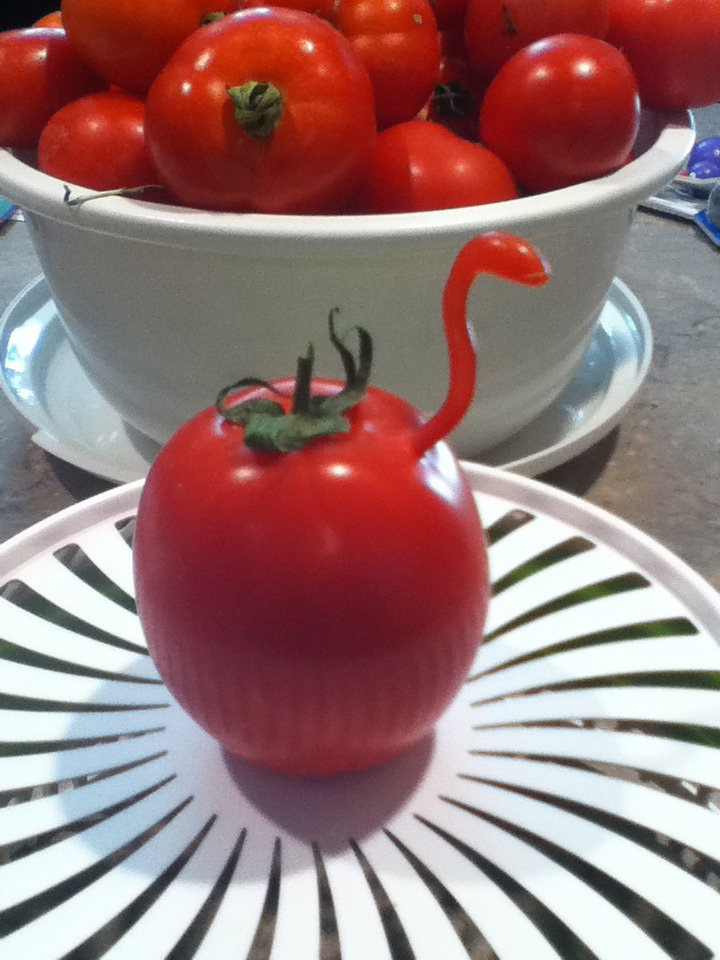 Sunnyside: Kevin Flinn's backyard garden produced this Roma tomato that resembles a swan.