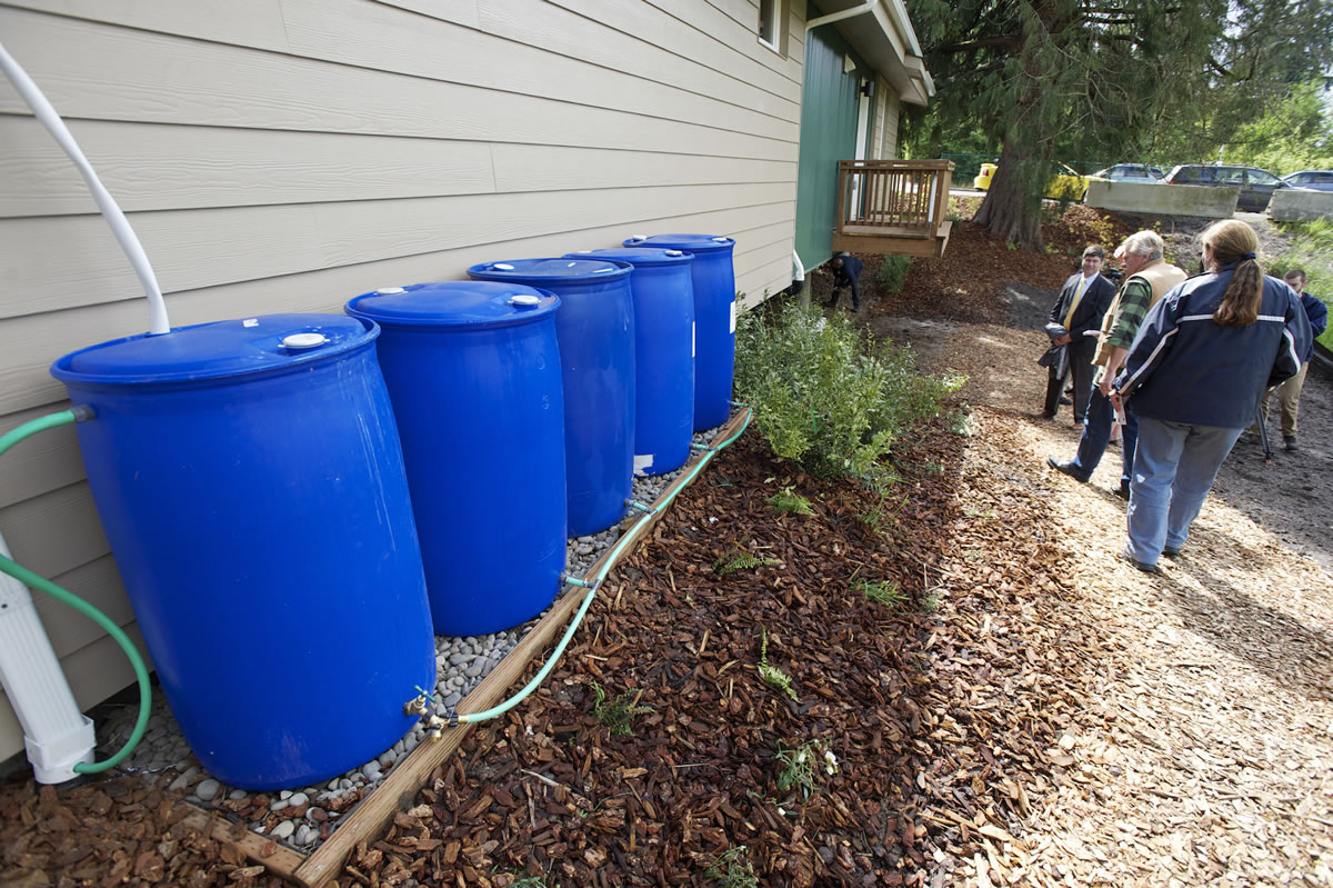 Rain barrels in the backyard collect stormwater runoff to irrigate the landscape.