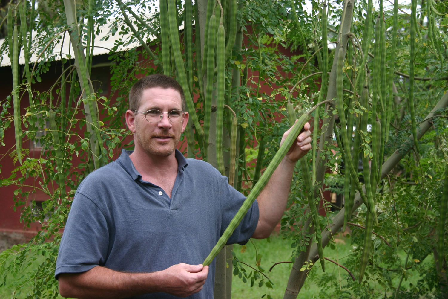 Rick Kemmer holds a seed pod from a moringa tree.