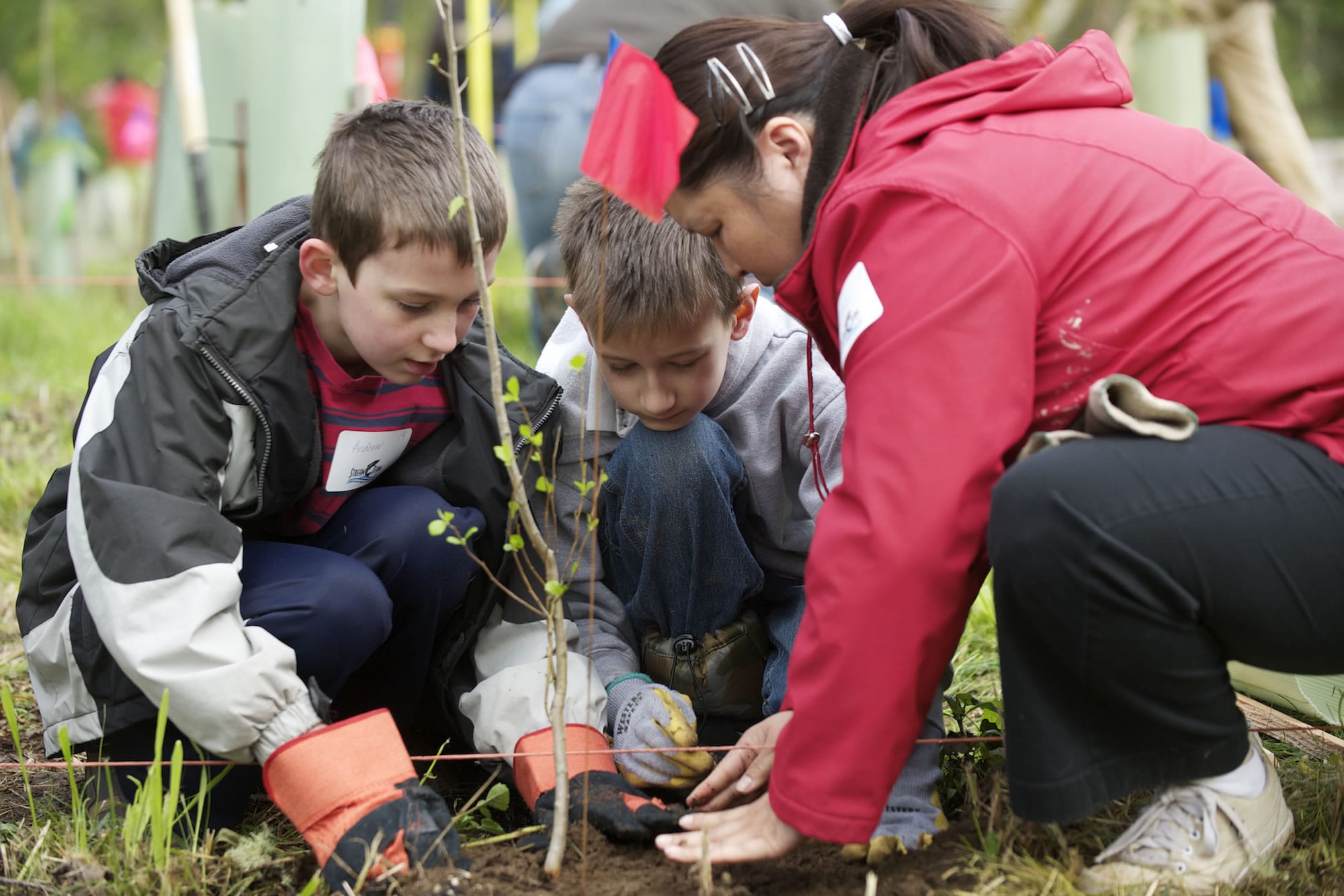 Andrew Field, 9, from left, Dalan Howell, 9, and Heather Gibert of Cub Scout Pack 511, plant a tree on Saturday during the 14th annual eco fair at Salmon Creek Regional Park.