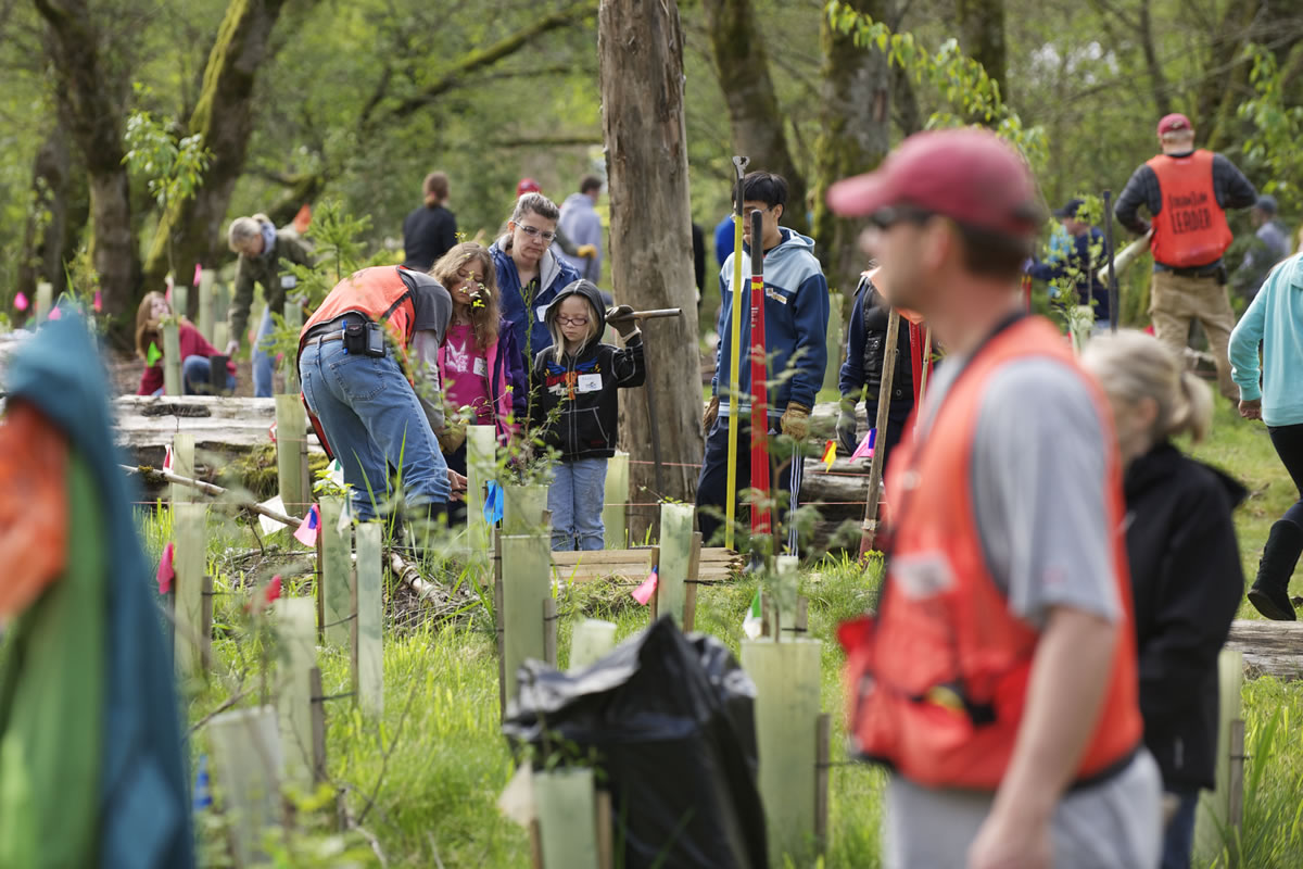 Some 400 people volunteered Saturday in the 14th annual eco fair and tree-planting at Salmon Creek Regional Park.