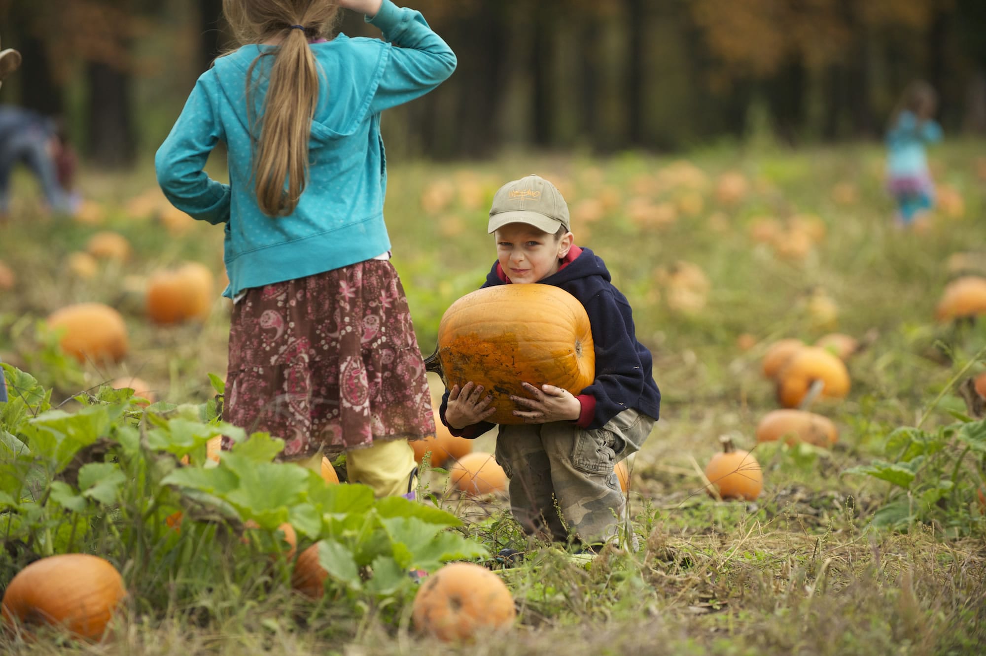 Photos by Steve Lane/The Columbian
Lucas Levanen, 6, tests the &quot;you have to carry your own pumpkin&quot; rule at the 18th annual Pumpkin Festival at Pomeroy Living History Farm.