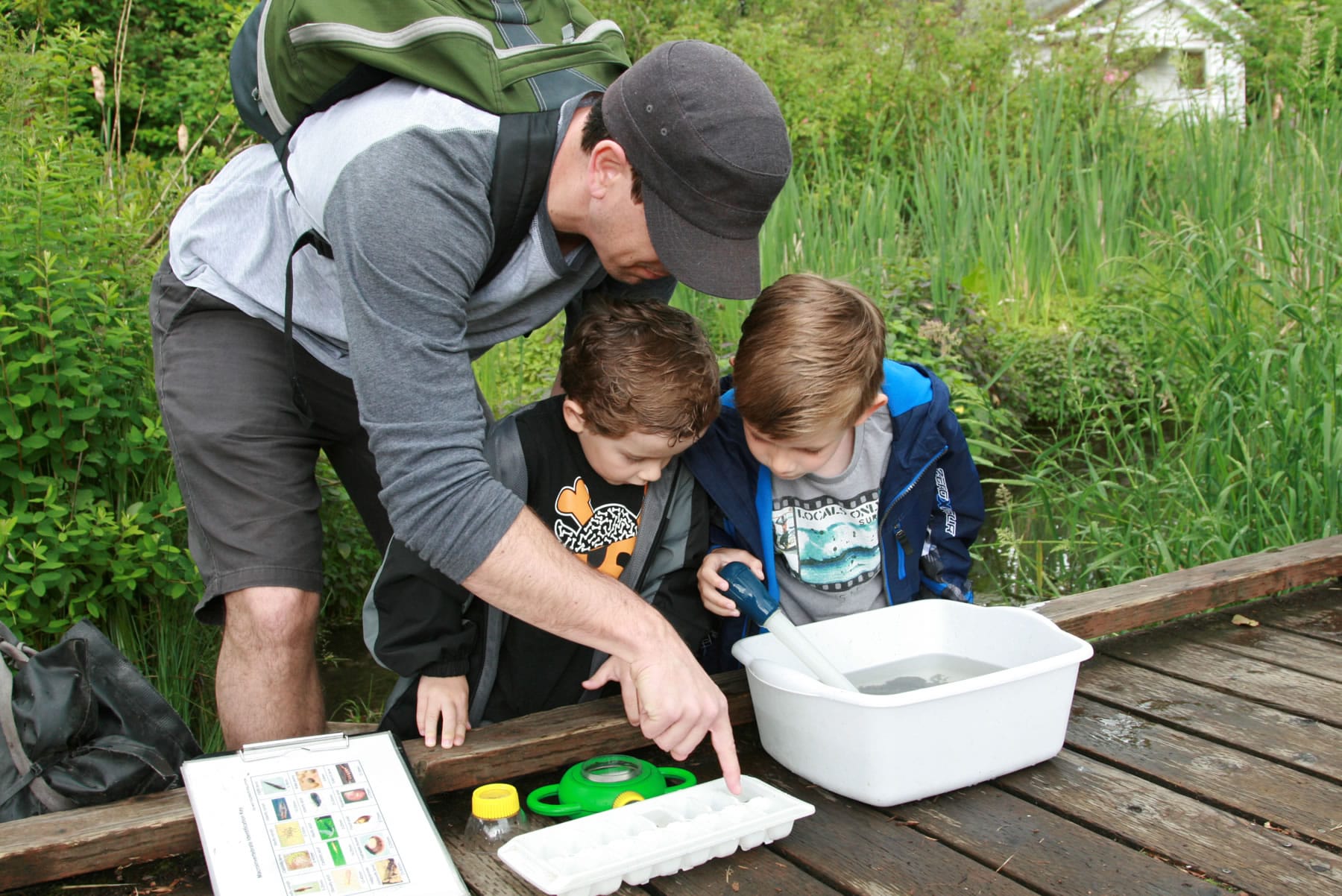 Old Evergreen Highway: Children learn to collect macroinvertebrates at the Columbia Springs wetland.