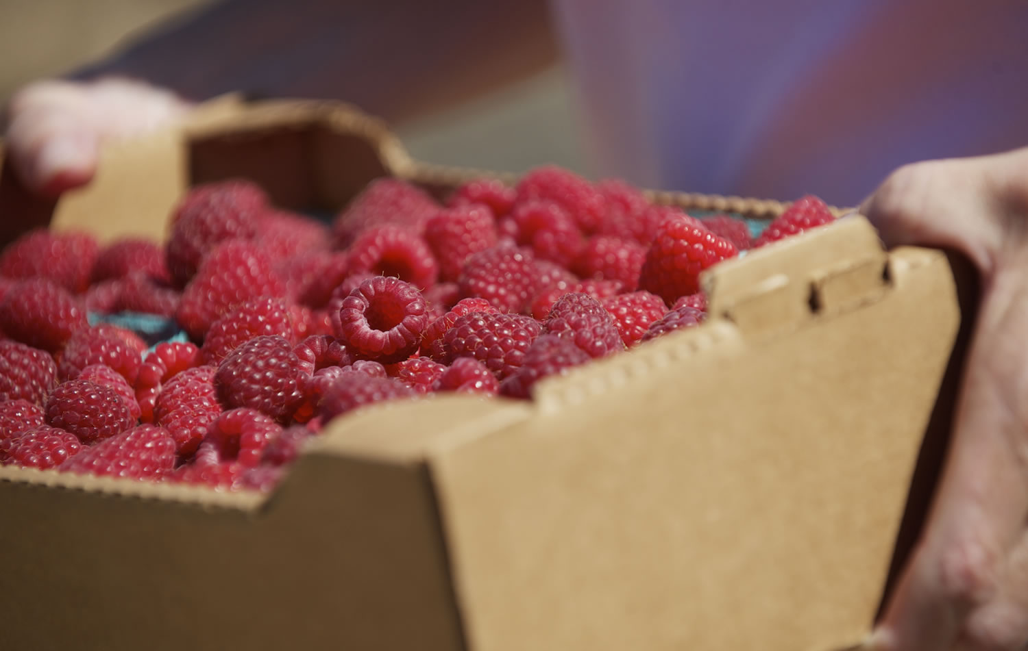 Fresh, local raspberries were among the offerings when the Salmon Creek Farmers' Market opened for the season  Thursday.