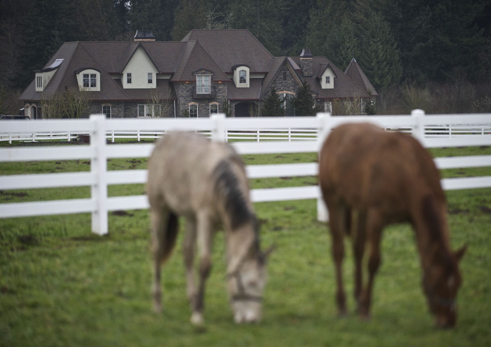 Houses on acreage in a pastoral setting attract families to the Brush Prairie-Hockinson ZIP code, the wealthiest in Clark County and the second-richest in the Portland metropolitan area.