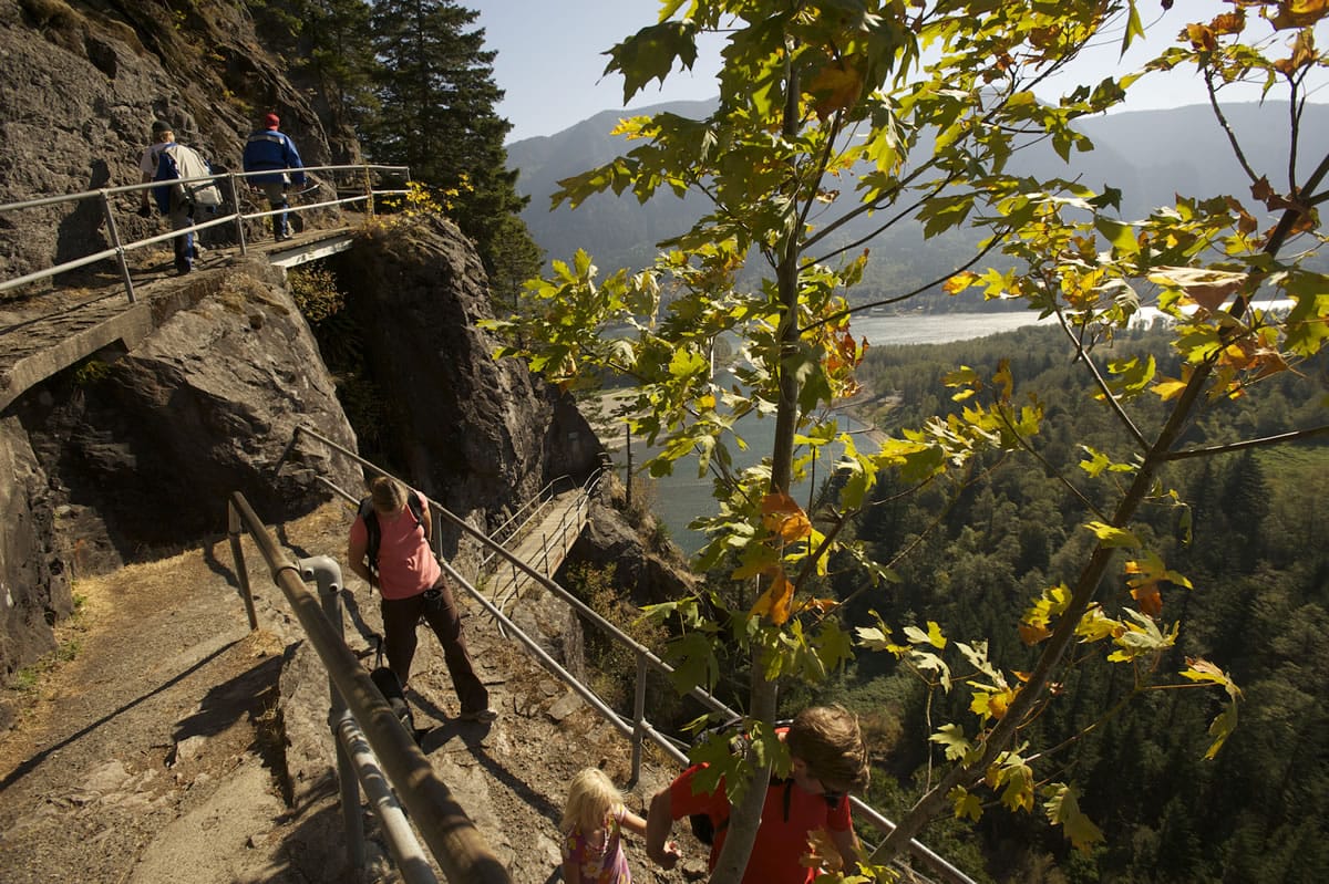 The Beacon Rock Trail is one of the most popular on the Washington shore of the Columbia River Gorge National Scenic Area.