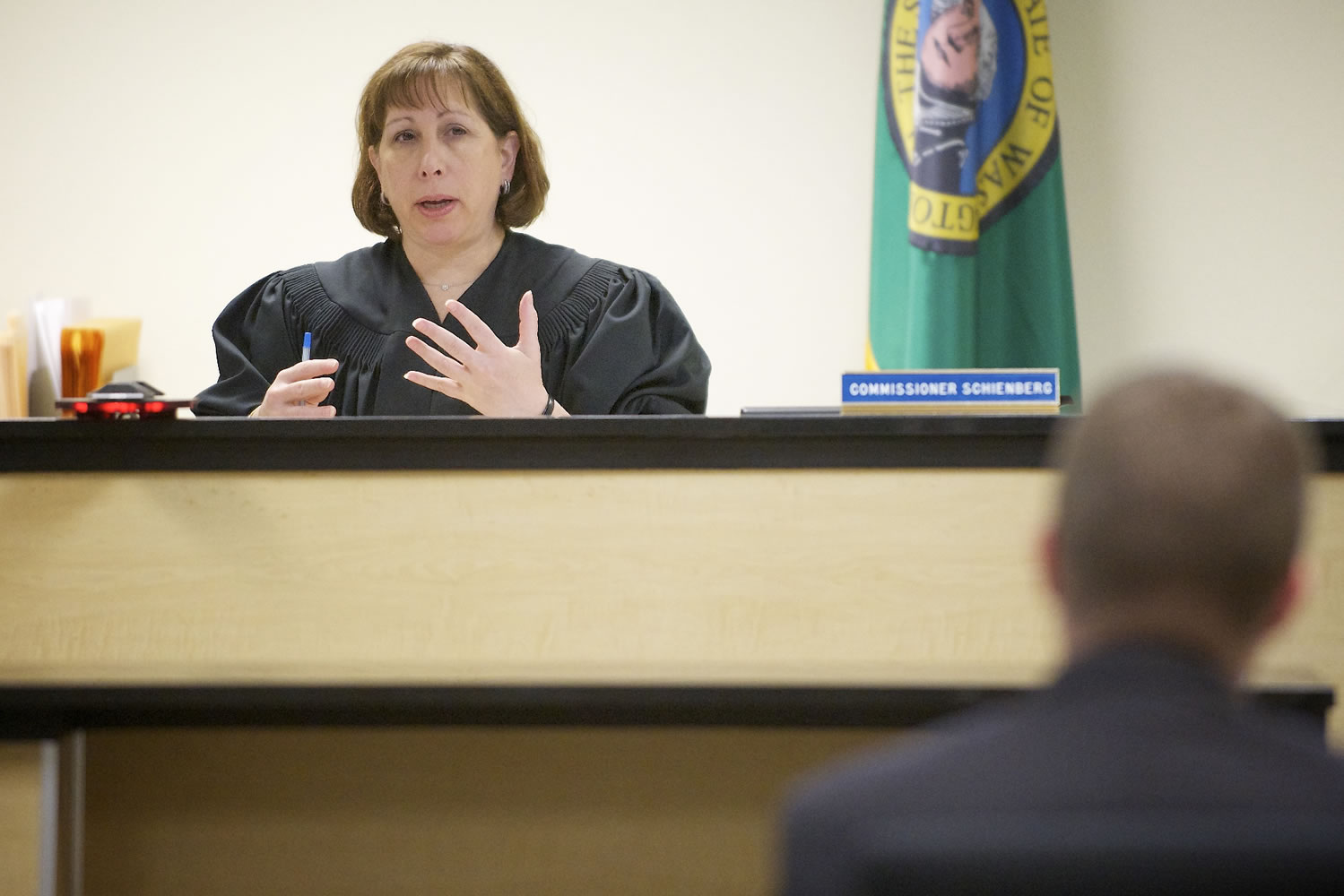 Superior Court Commissioner Carin Schienberg presides over a case at Clark County Family Court last week.