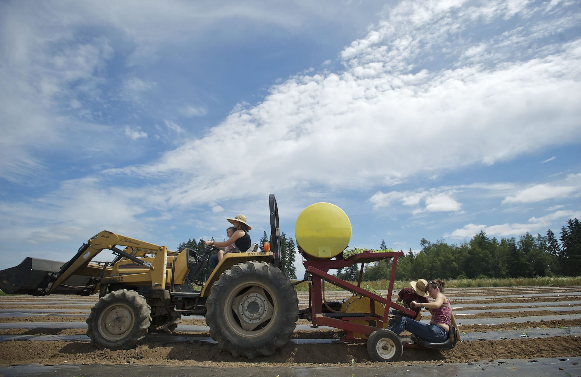Aireanna Vanasse, 3, and Katrina Stanley, 24, drive the tractor as Brandon Jacobi, 25, and Nellie Vanasse, 21, plant a row of red cabbage at Gee Creek Farm outside Ridgefield last week.