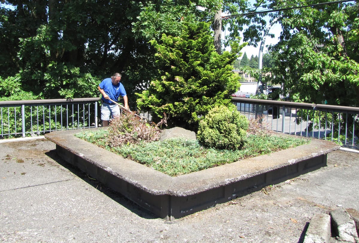 Bart Corcoran, with the Vancouver Public Schools maintenance support crew, works to clear a planter at the former Vancouver City Hall site at 210 E. 13th St.