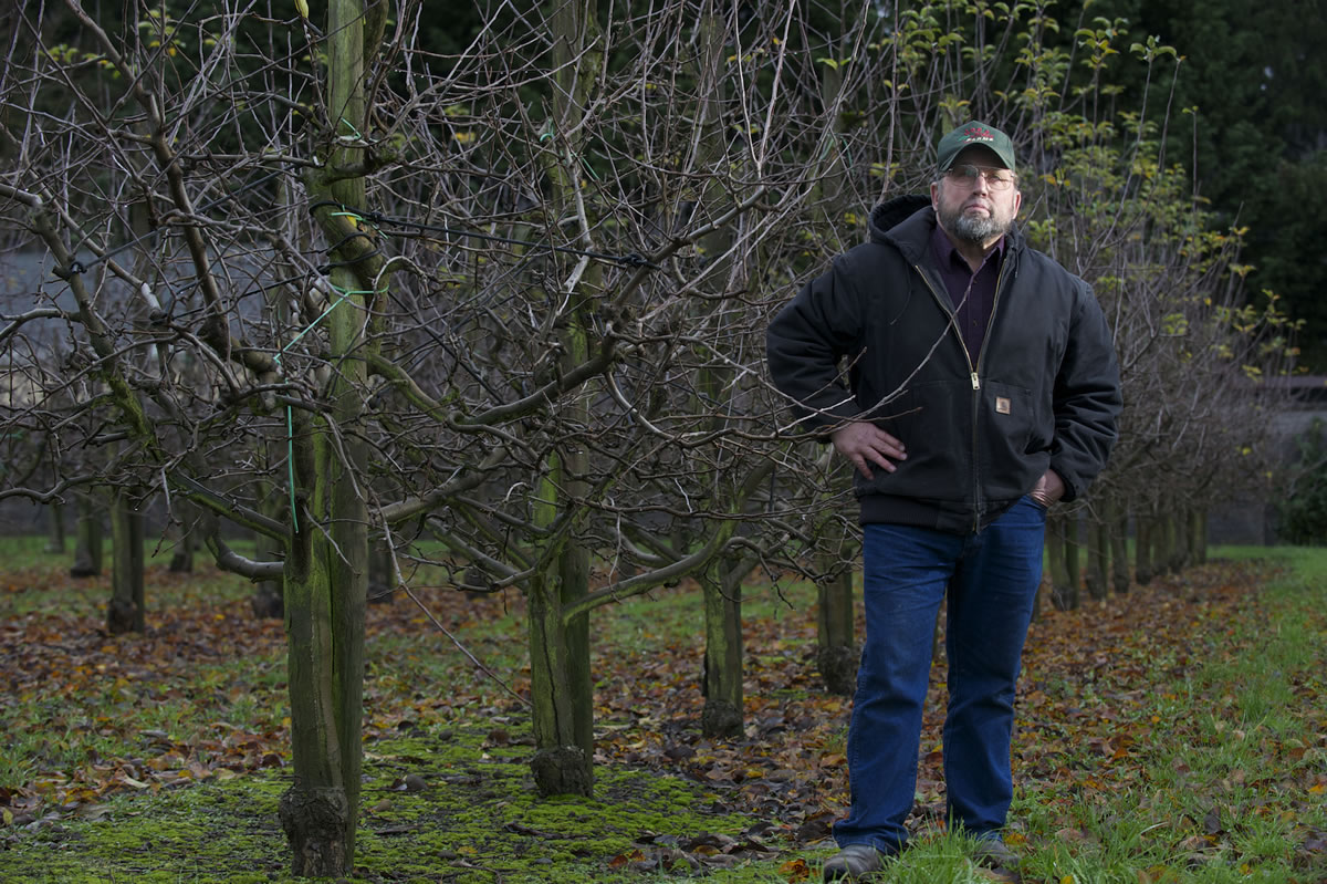 Joe Beaudoin, who farms 80 acres in patches among east Vancouver subdivisions, is 72 and thinking about retirement. But even to stop farming his five-acre peach orchard would cost him a quarter-million dollars in back taxes and penalties.