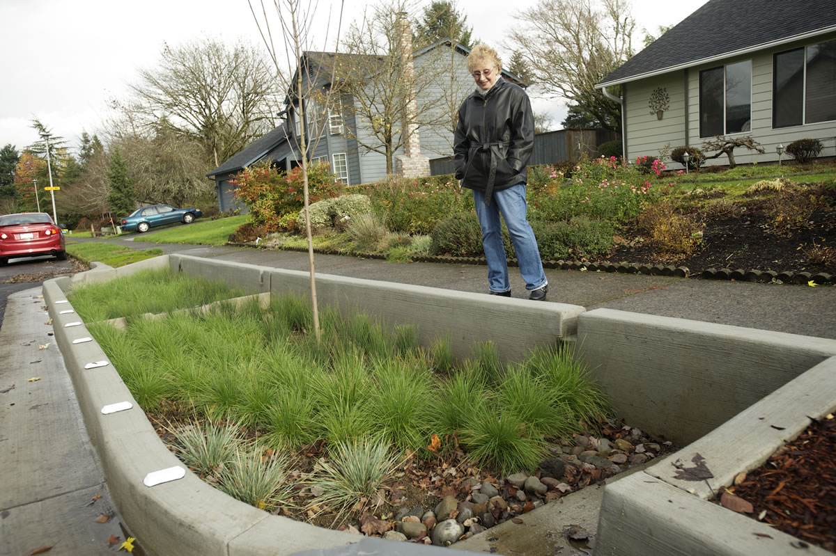 Susan Tredick lives in front of one of the county's new rain gardens.