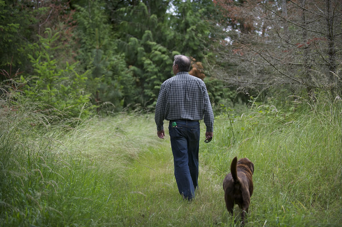 Kent Landerholm walks with his dog Lucy through his property outside Ridgefield, which has seen some tree loss due to unusually dry weather last year and this year.