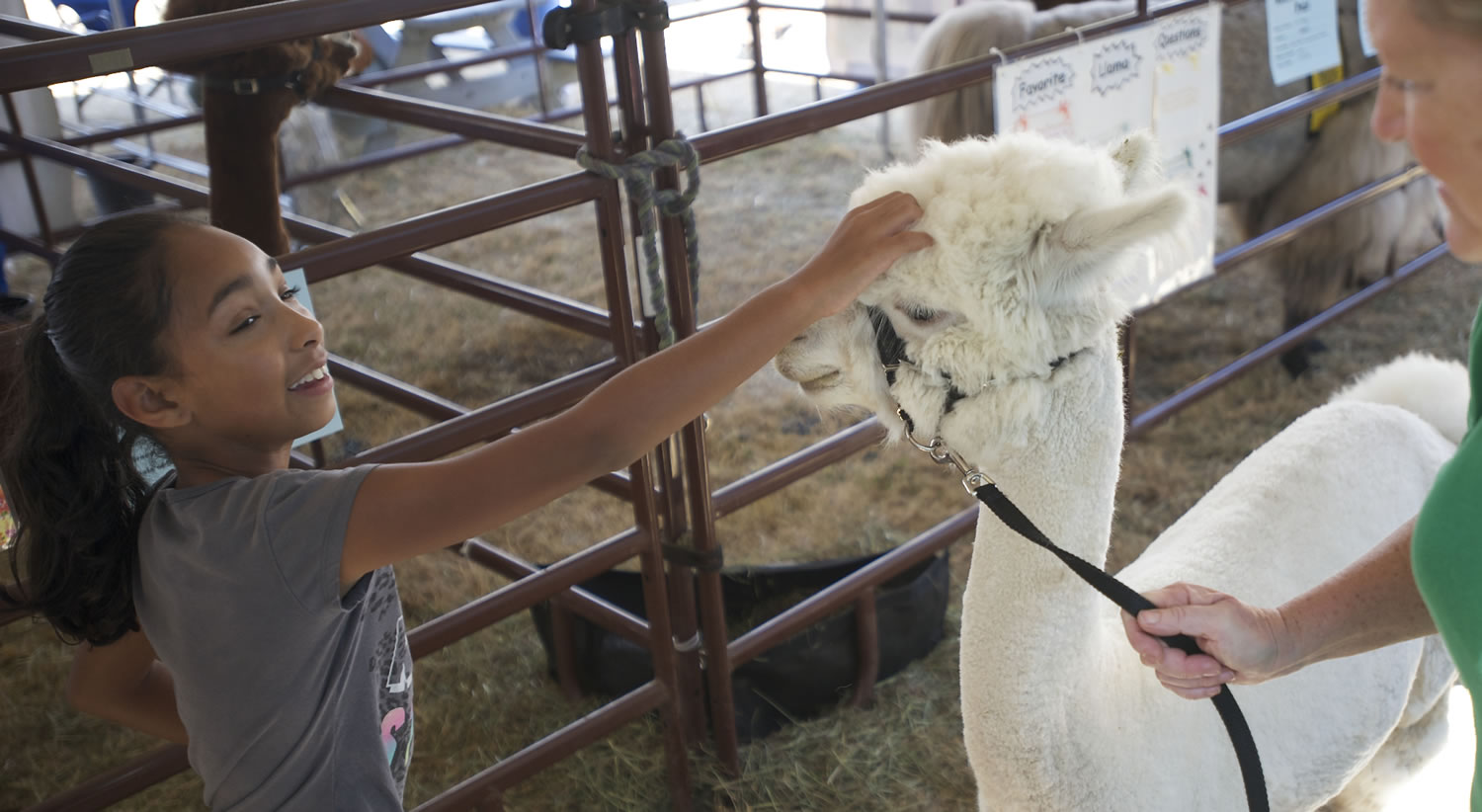 Olivia Courson, 9, of Battle Ground pets Jean-Pierre, an alpaca belonging to Lori Gregory, right, at the Clark County Fair on Wednesday.