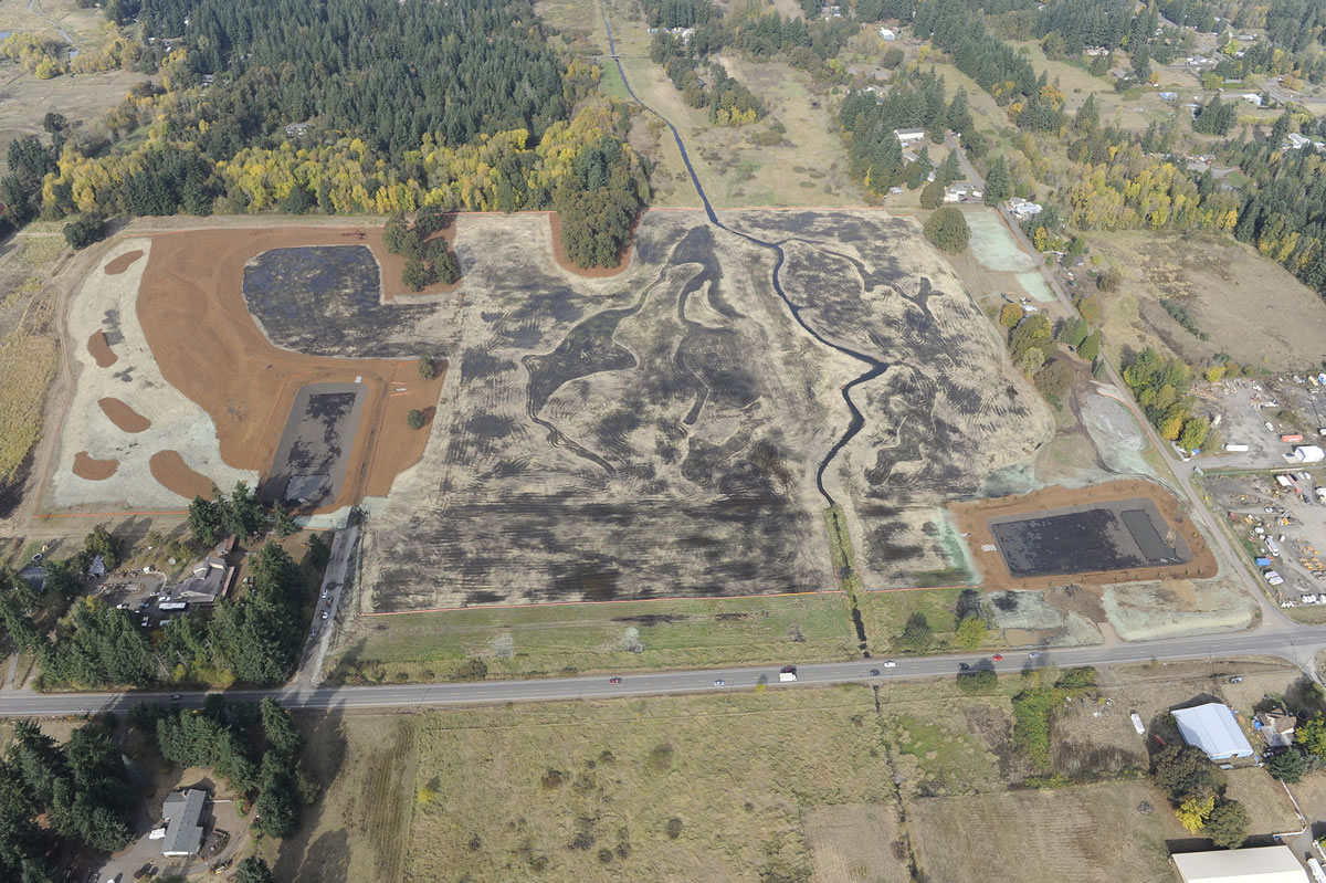 The Washington State Department of Transportation last year oversaw construction of a wetland mitigation site along state Highway 502 near Dollars Corner.